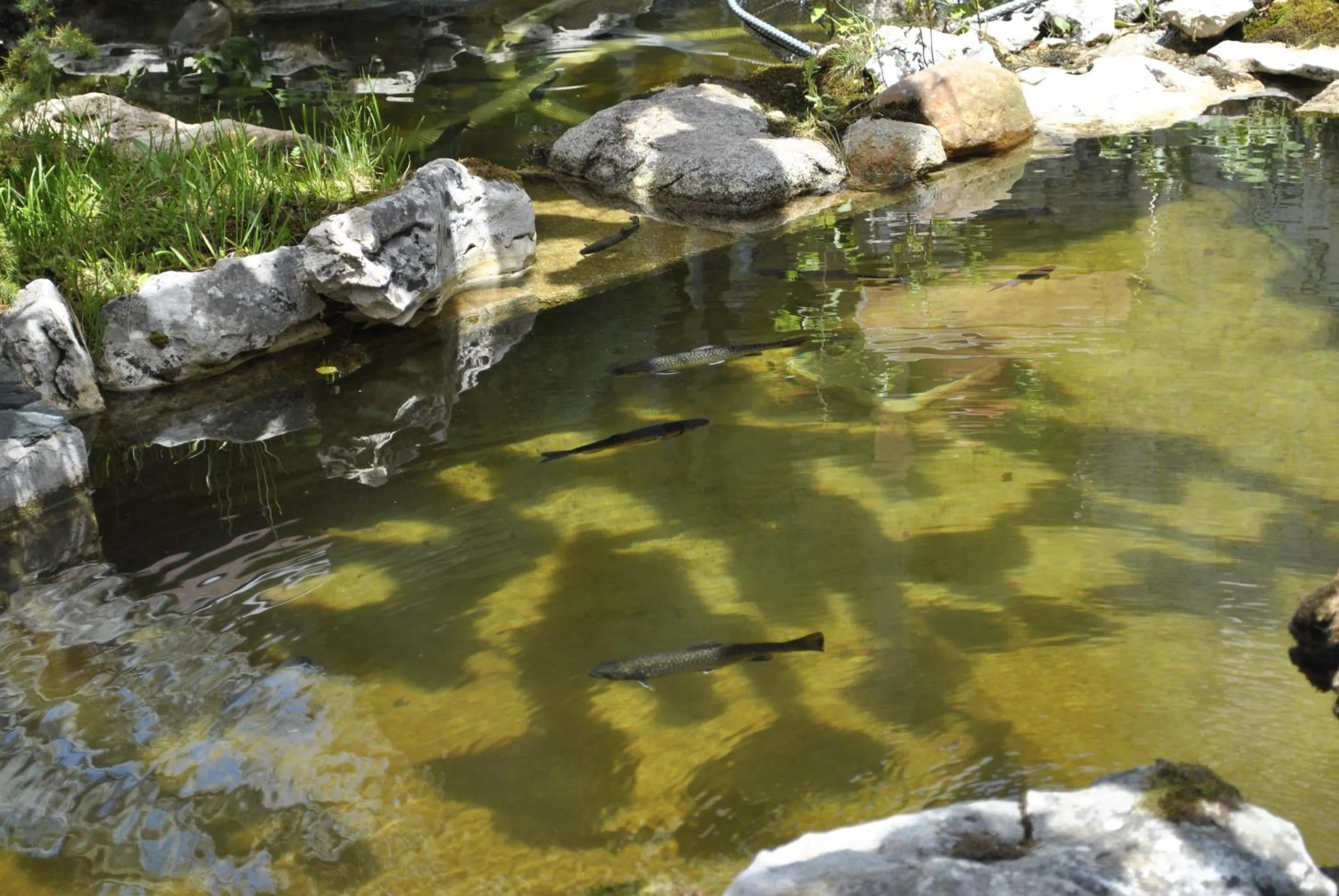 Natural landscape in Discret Hotel & Restaurant