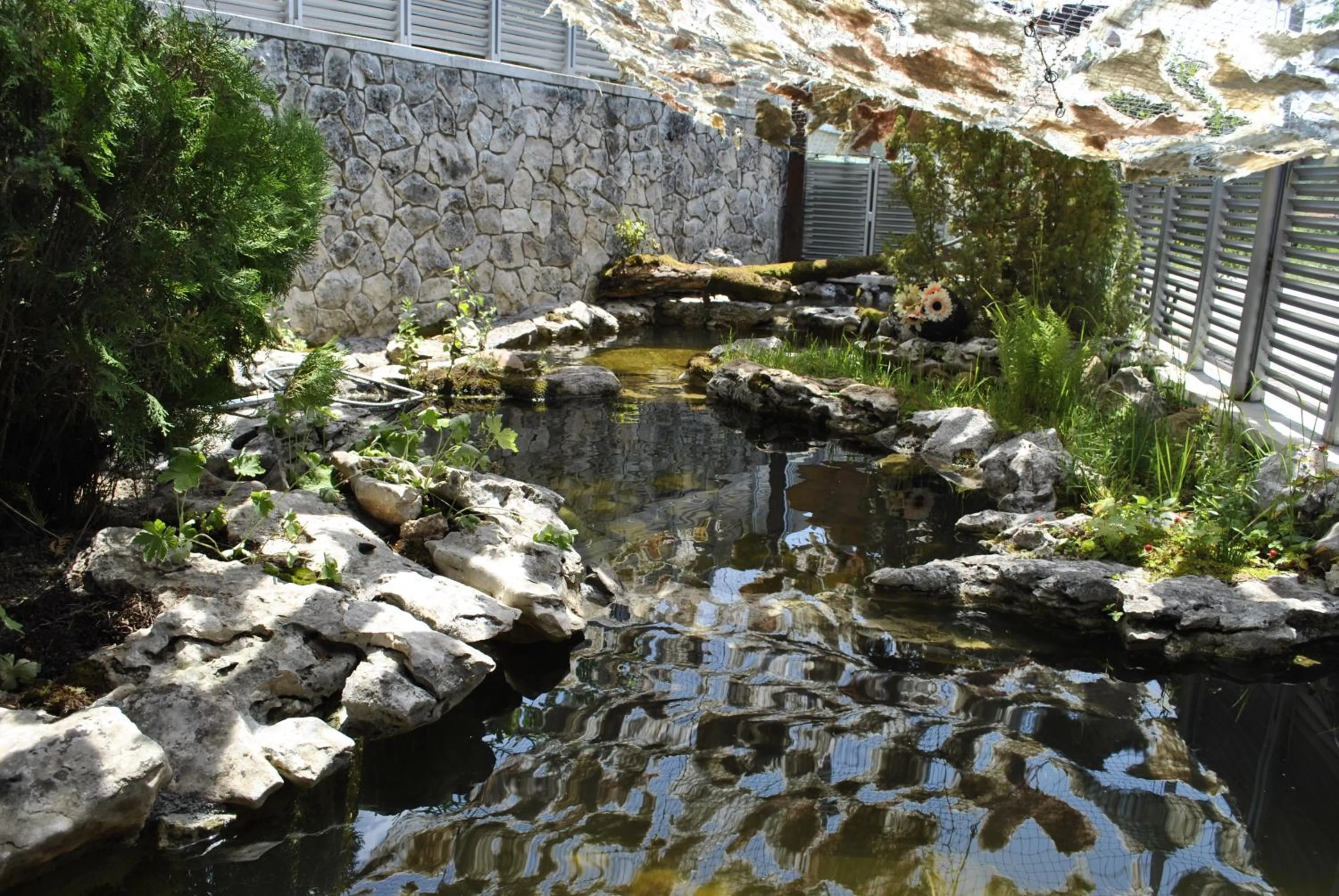 Garden in Discret Hotel & Restaurant