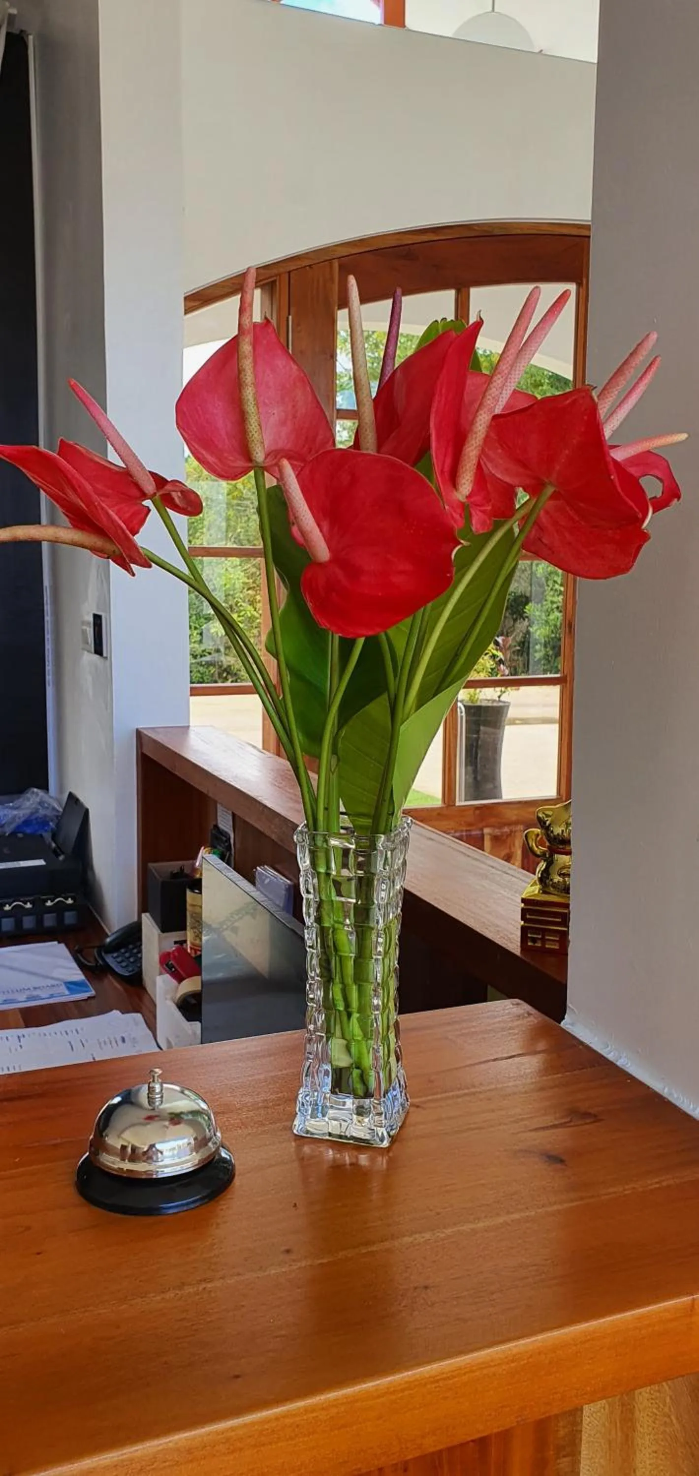 Lobby or reception in Blue Planet Panglao