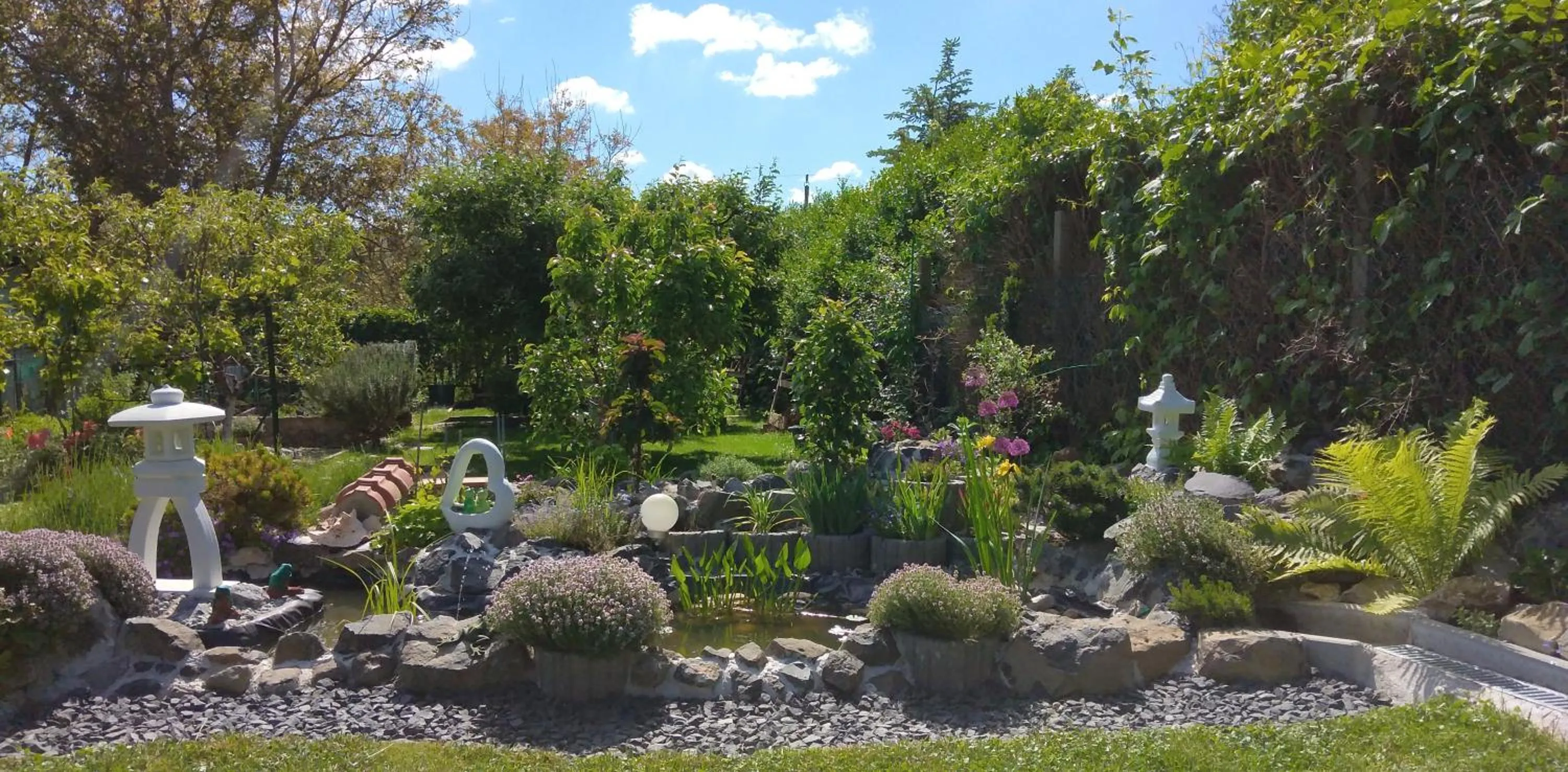 Garden in Maxim Ház
