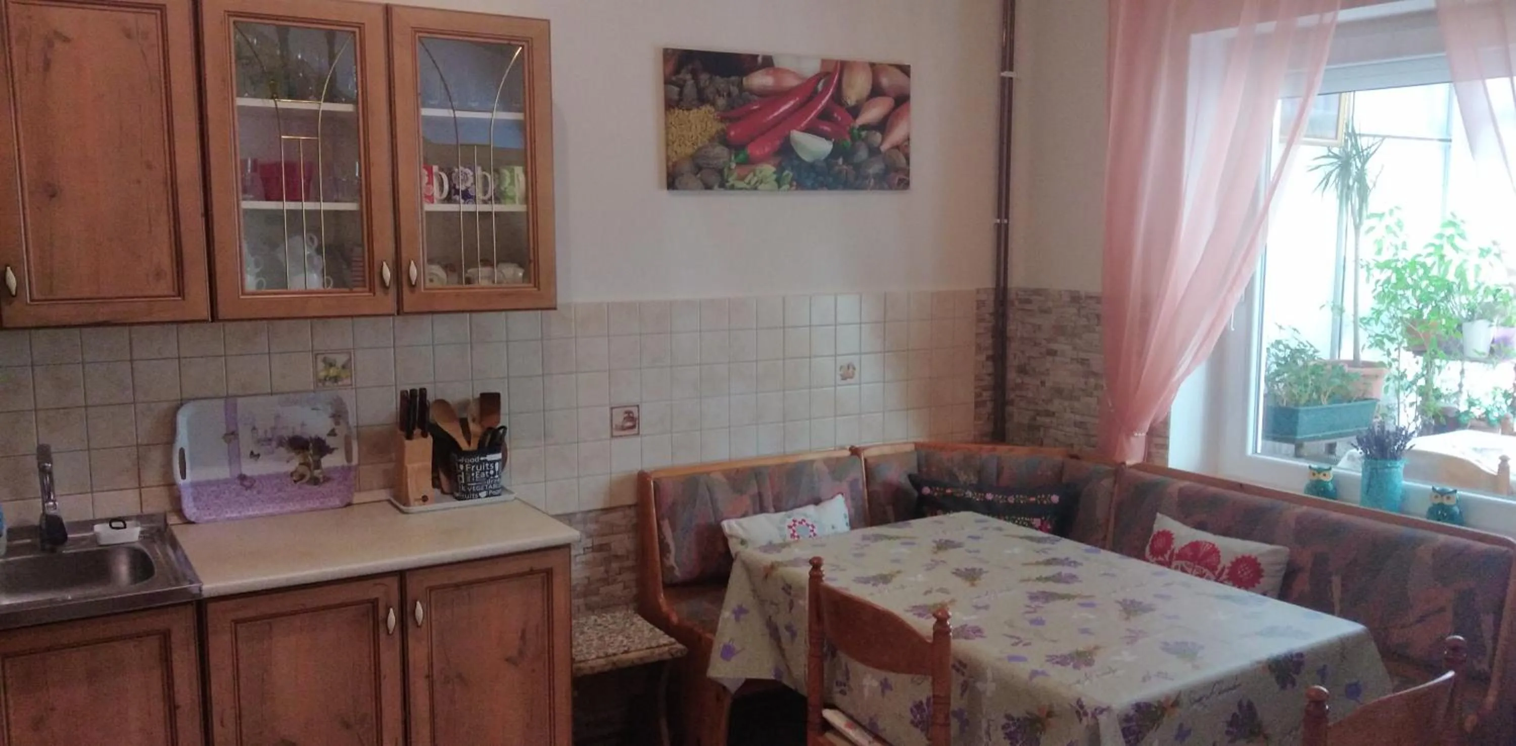 kitchen in Maxim Ház