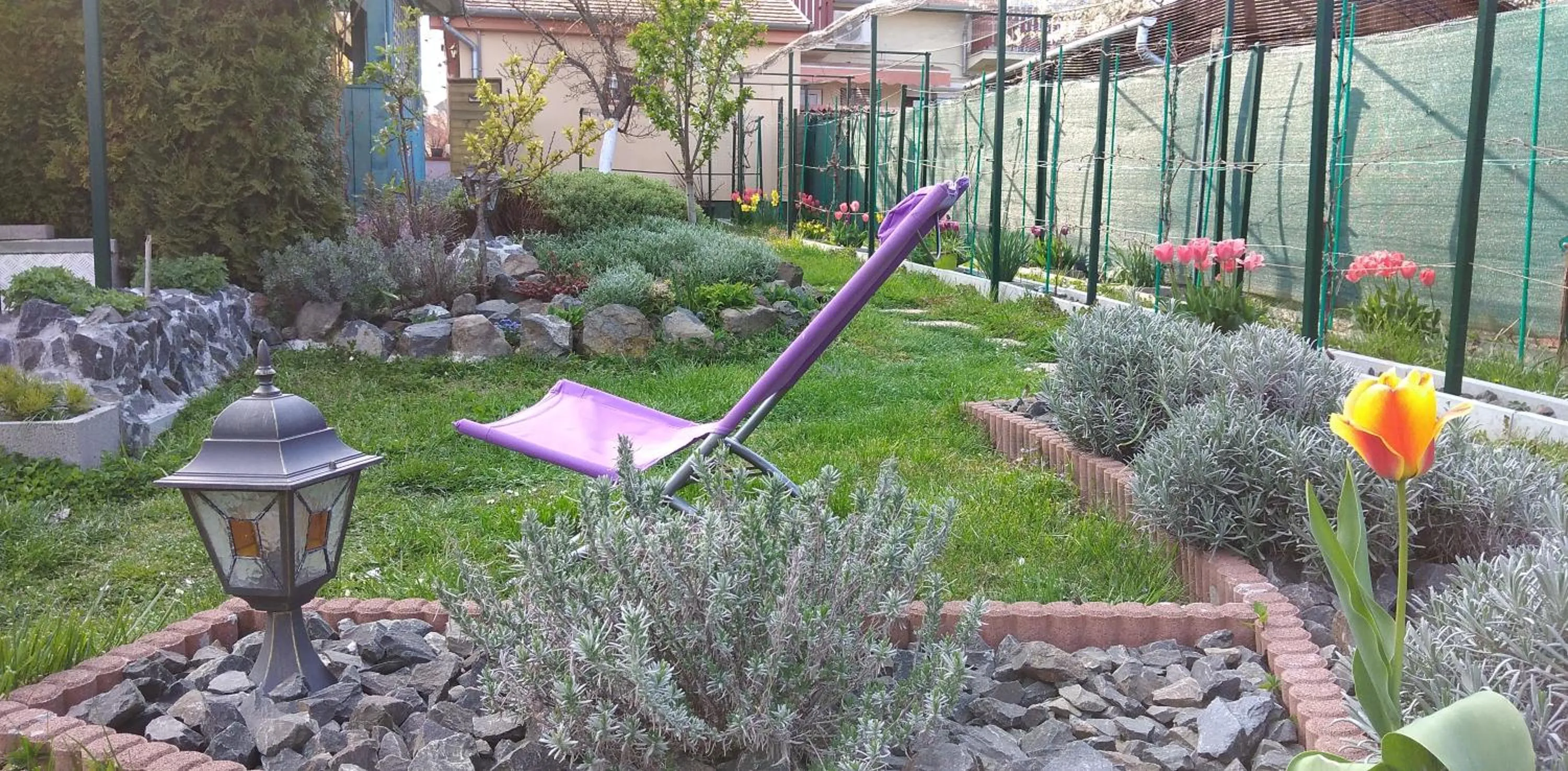 Garden view in Maxim Ház