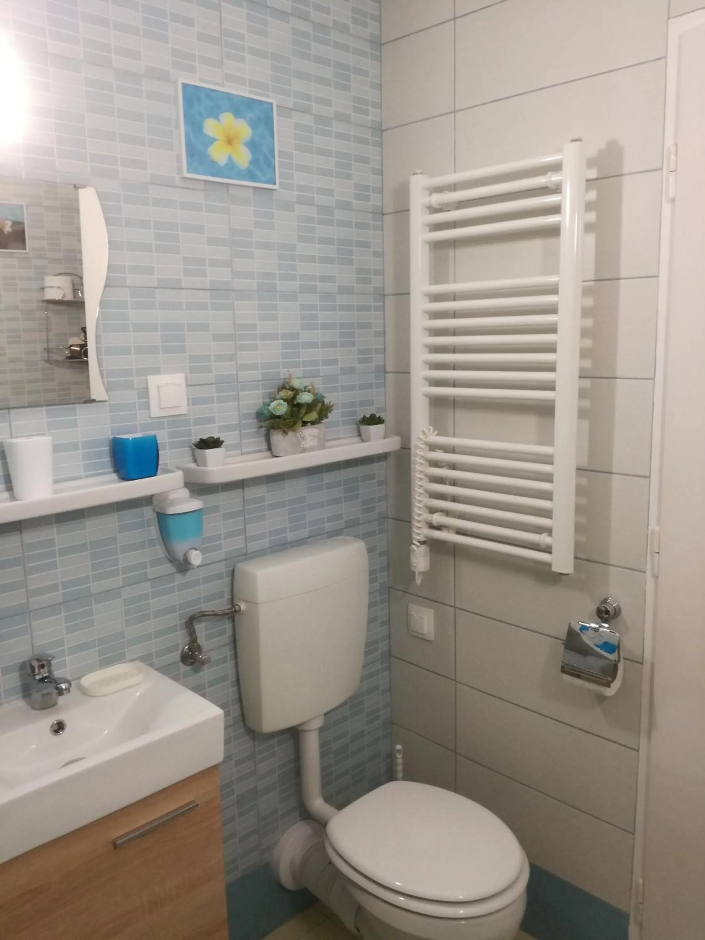 Shower in Maxim Ház