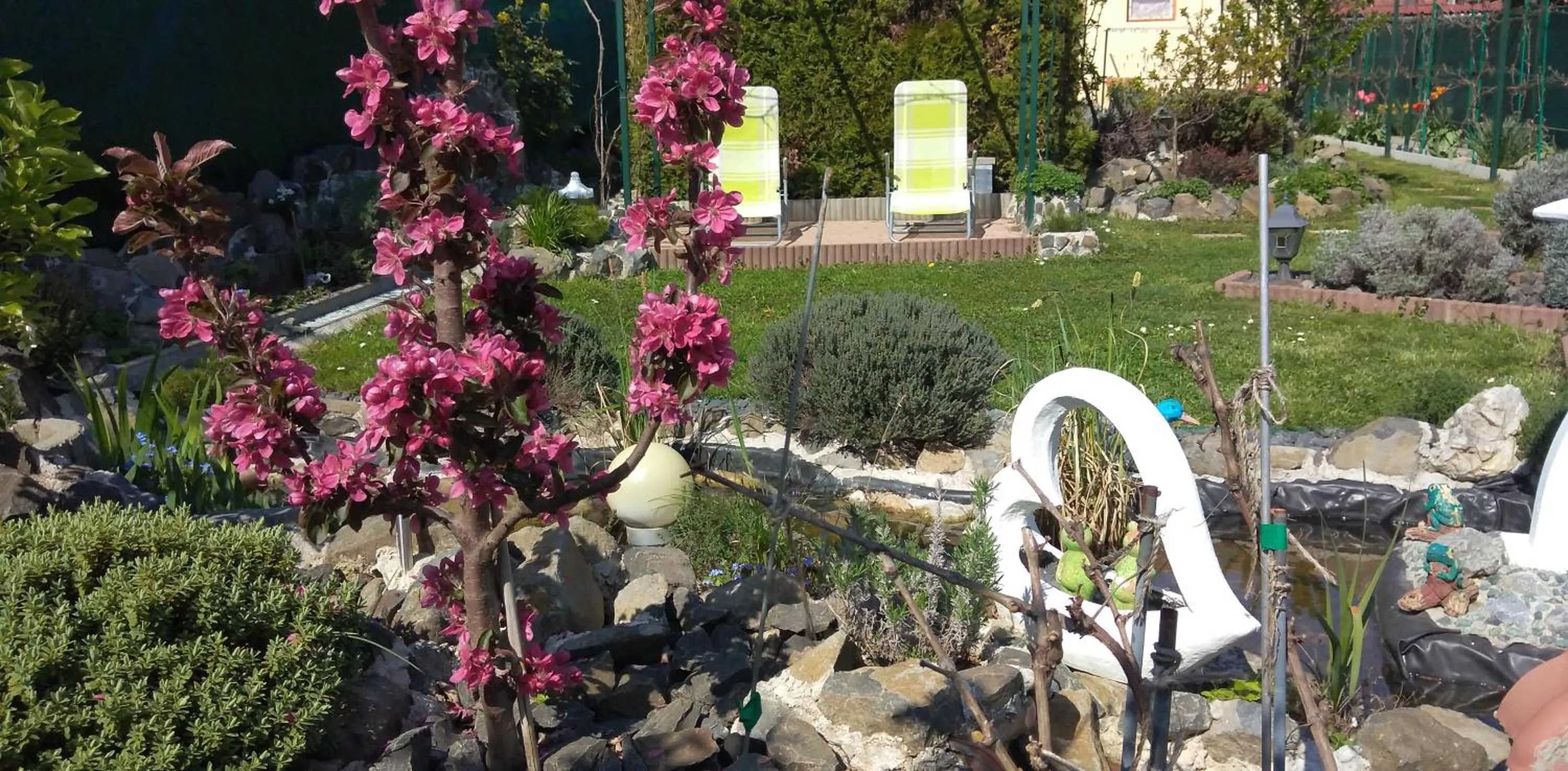 Garden in Maxim Ház