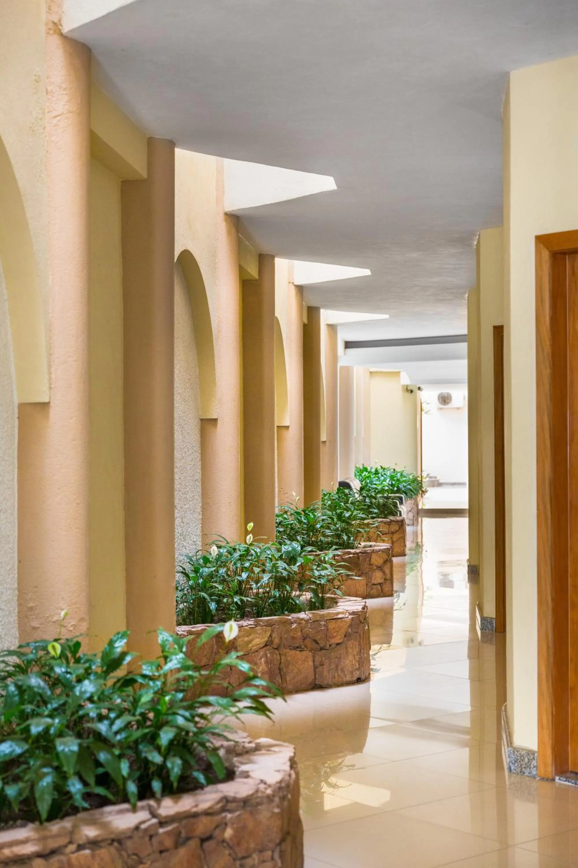 Garden in Hotel Porto Napolis