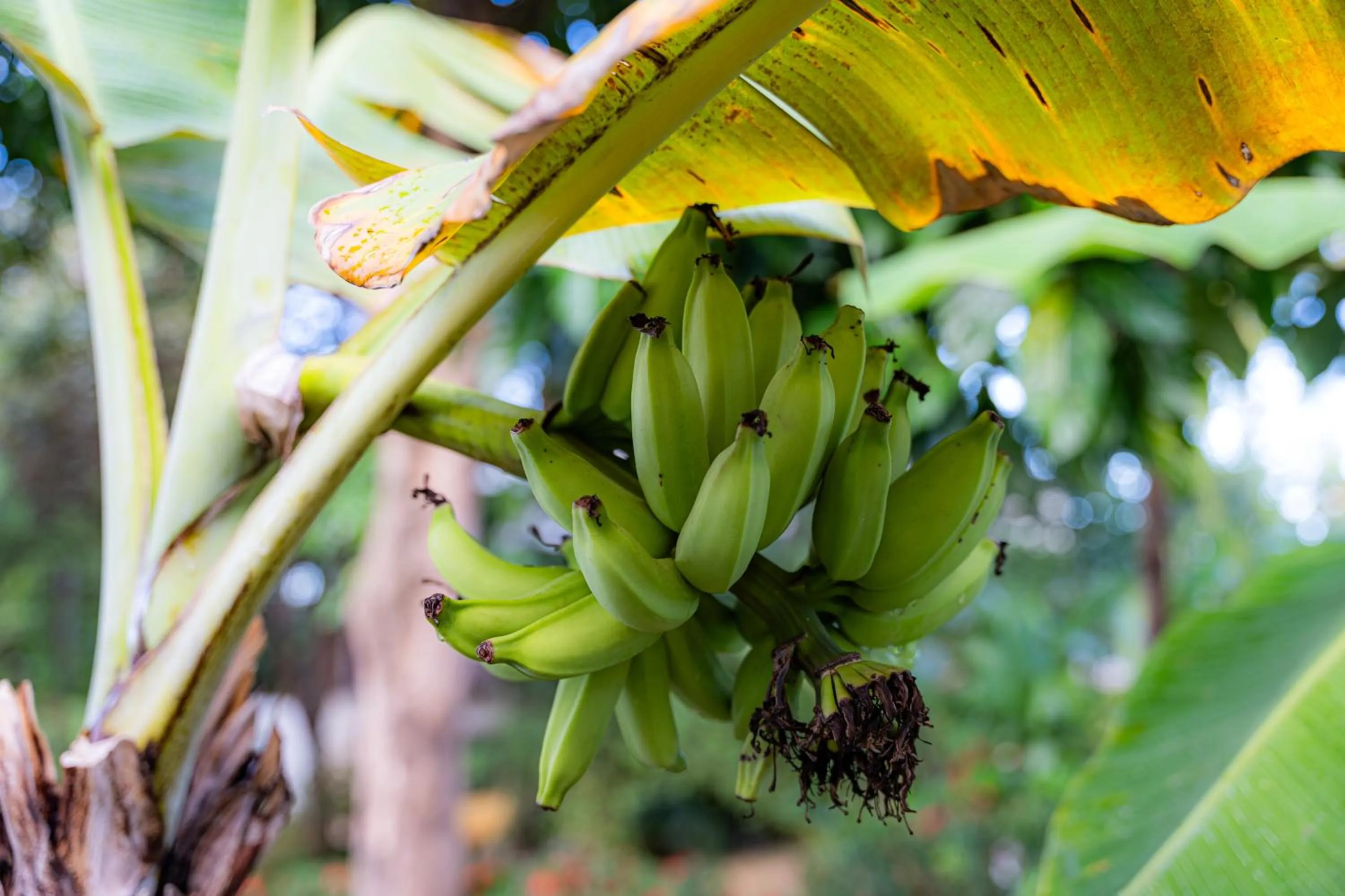 Hotel Pousada Salvador Paradise