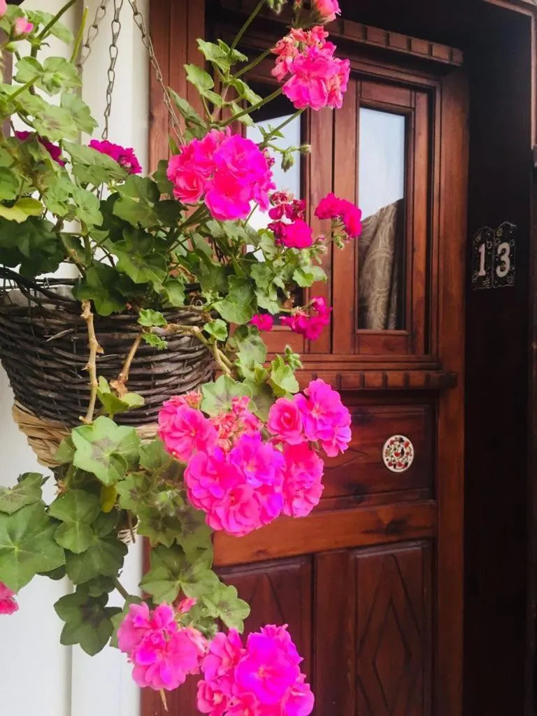 Amazon Petite Palace