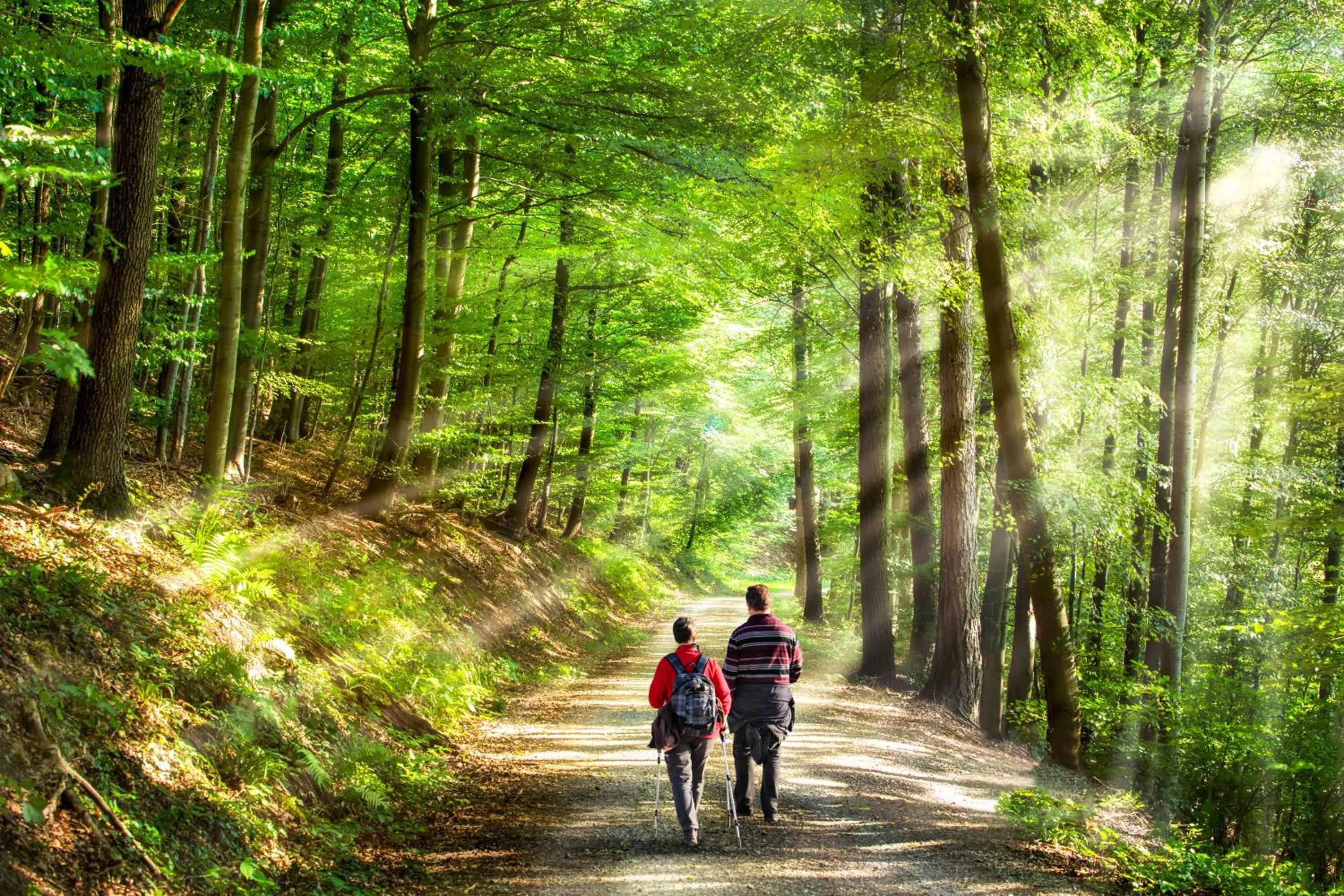 Hiking in Landhaus Müritzgarten Hotel garni