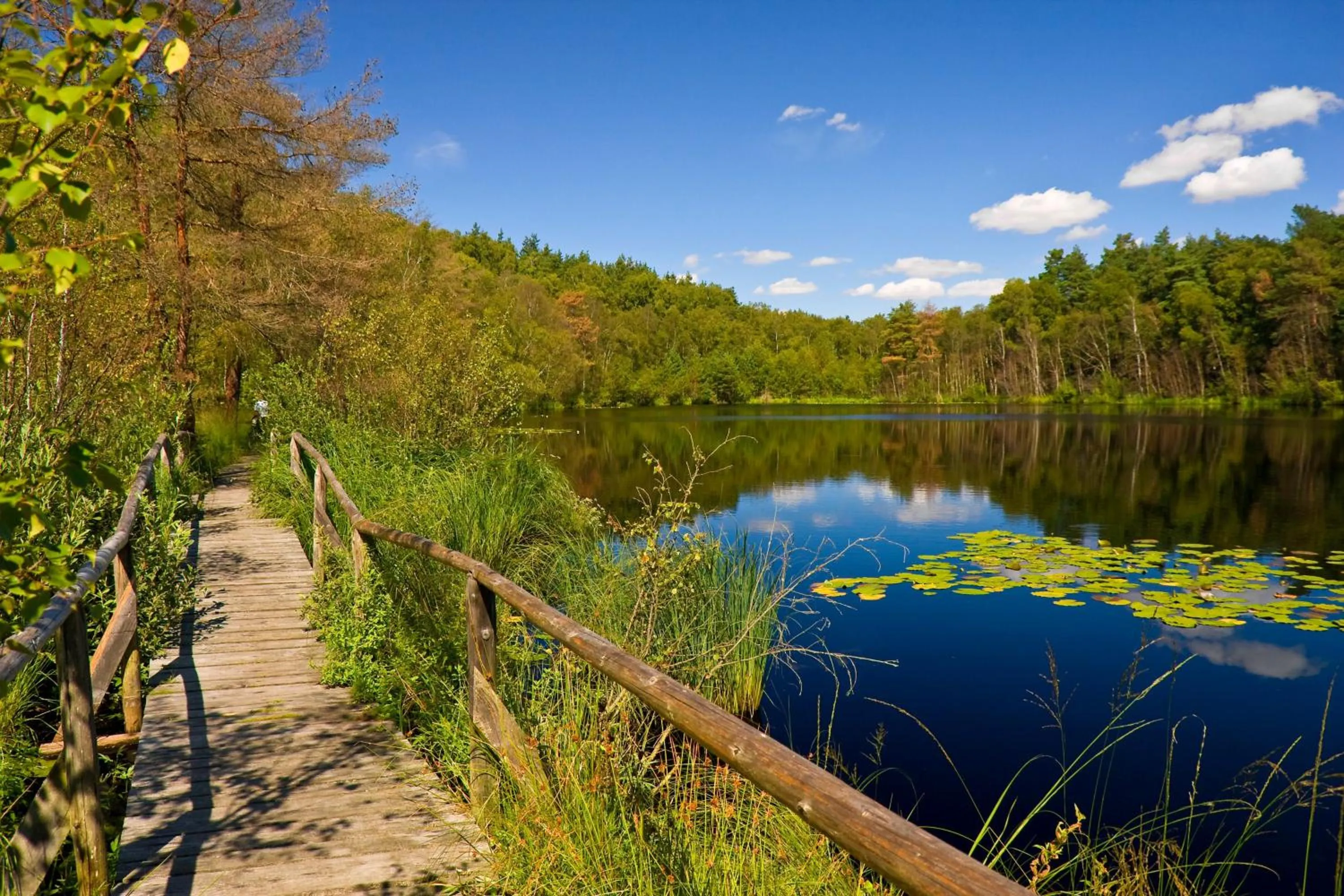 Hiking in Landhaus Müritzgarten Hotel garni