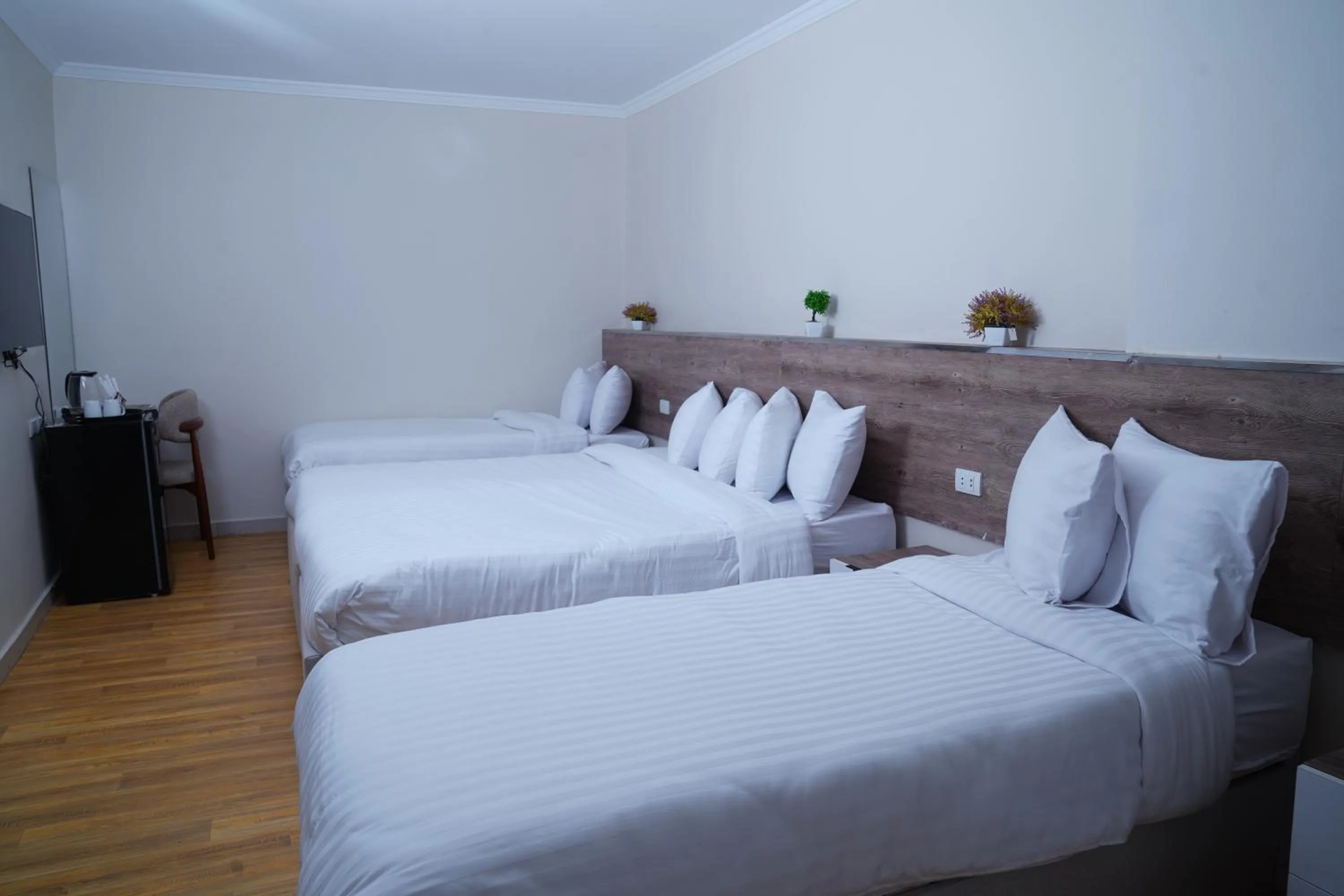 Bed in Eco green pyramids hotel