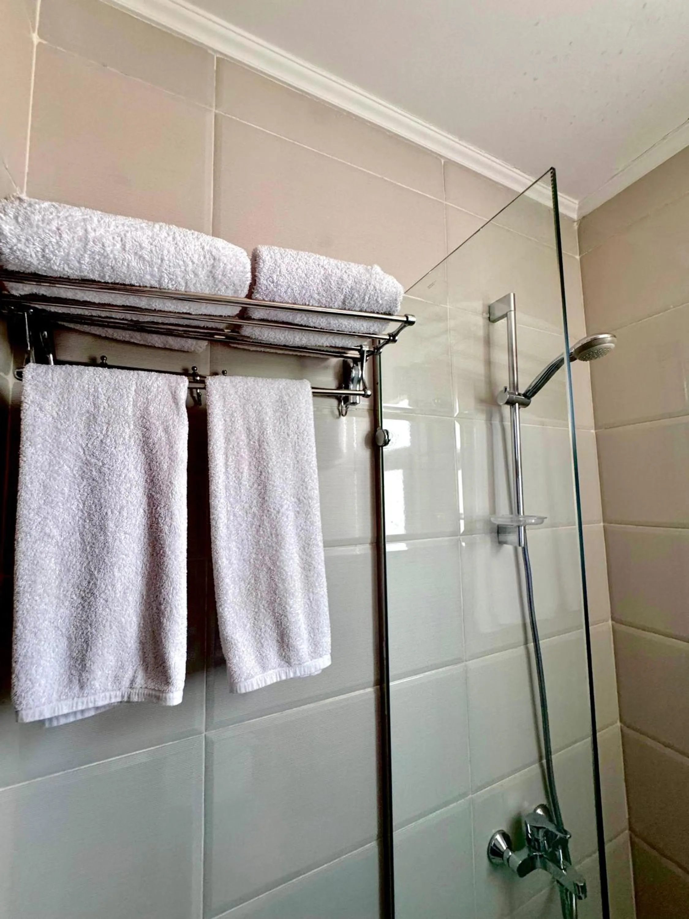 Shower in PYRAMIDS TOWER Inn