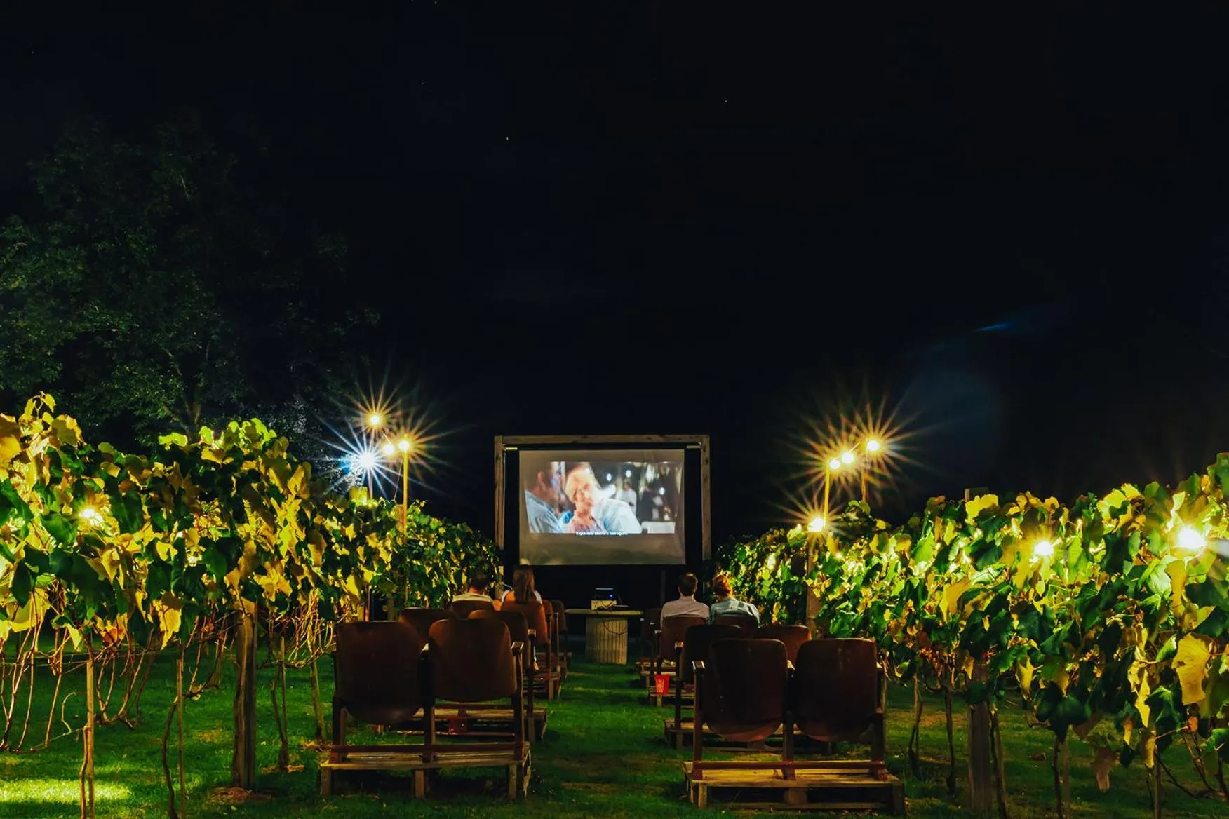 Garden in LOTE20 Hotel Boutique