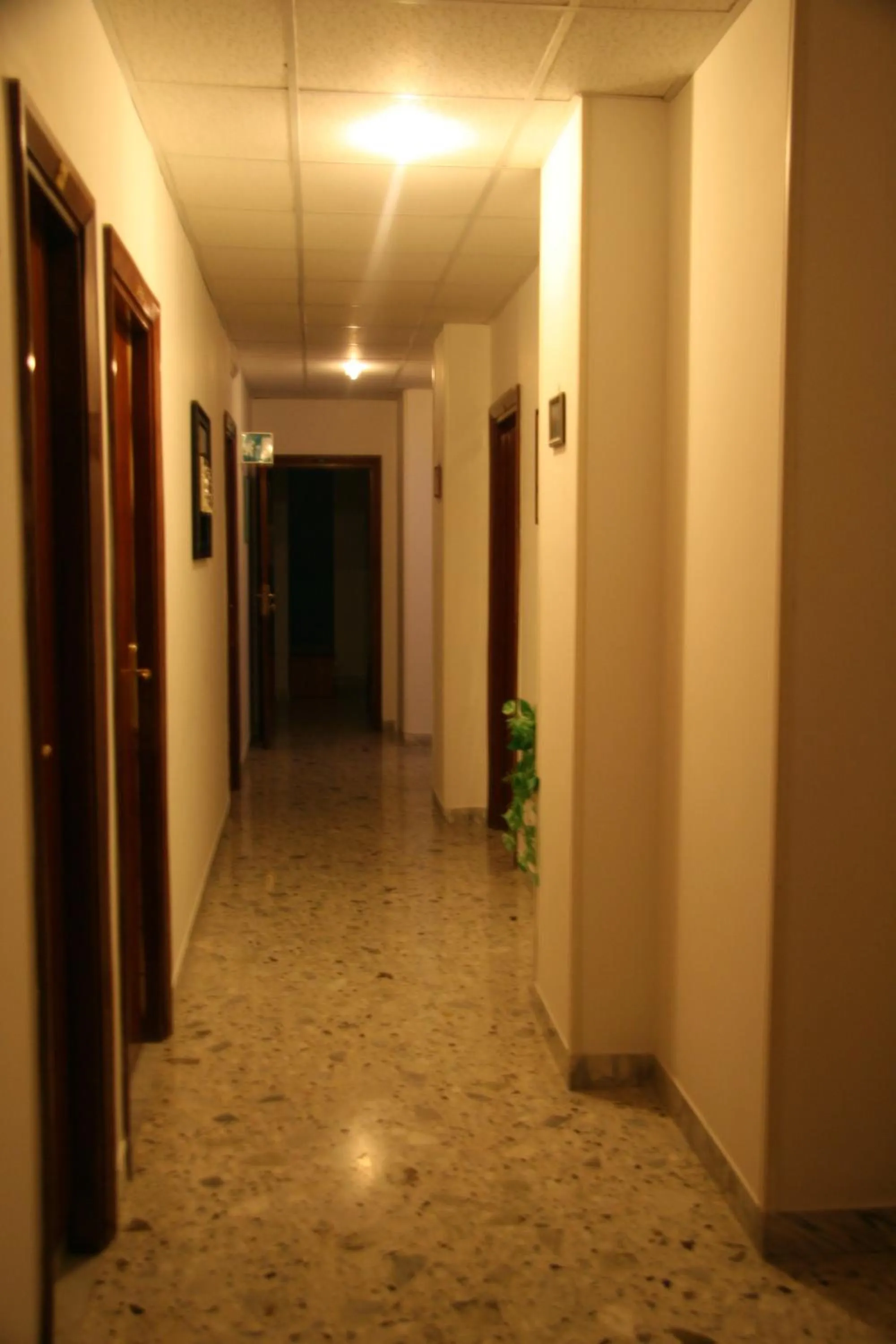 Decorative detail in B&B Vittoria