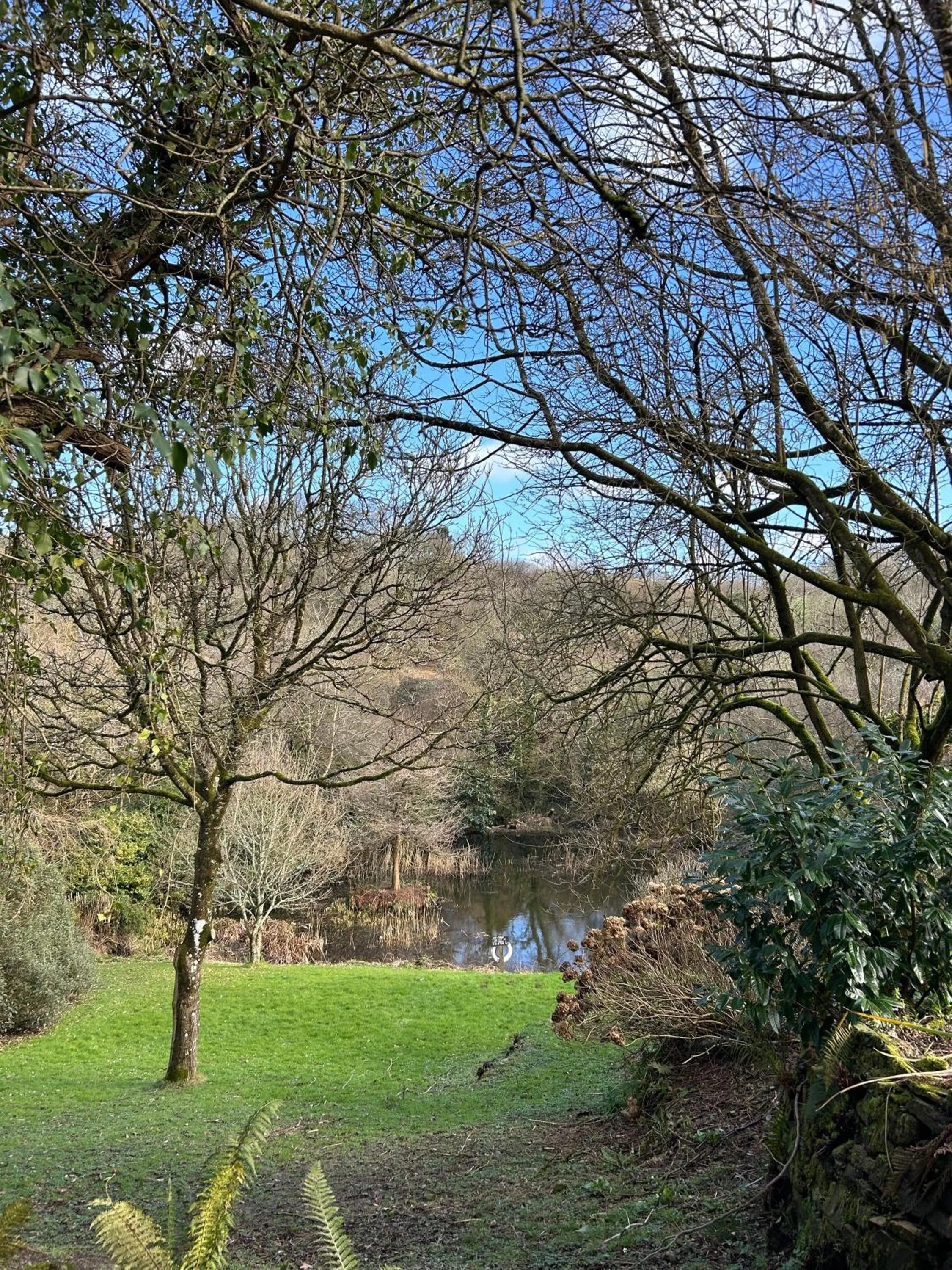 Lake view in Trengilly Wartha Inn