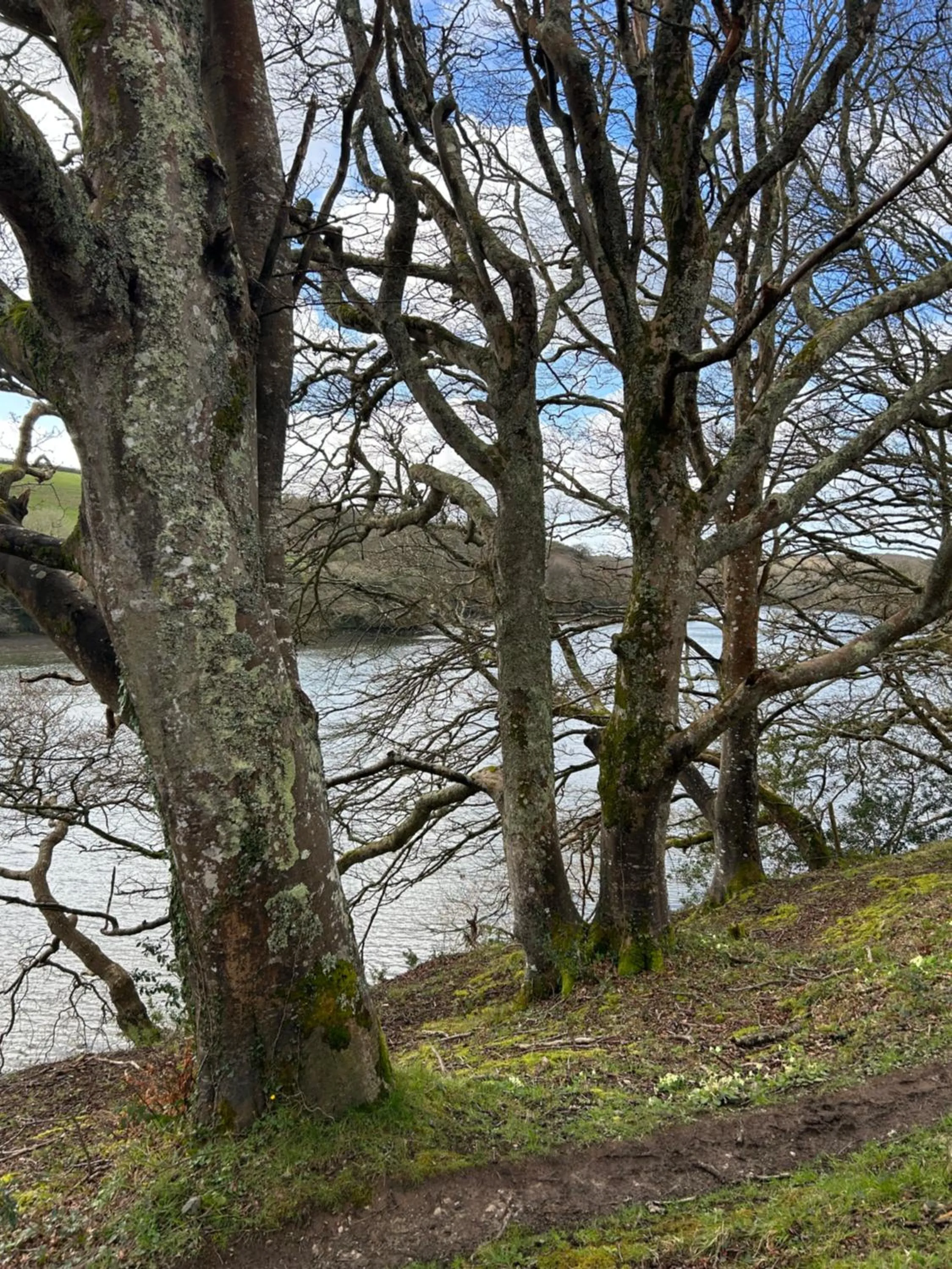 Nearby landmark in Trengilly Wartha Inn