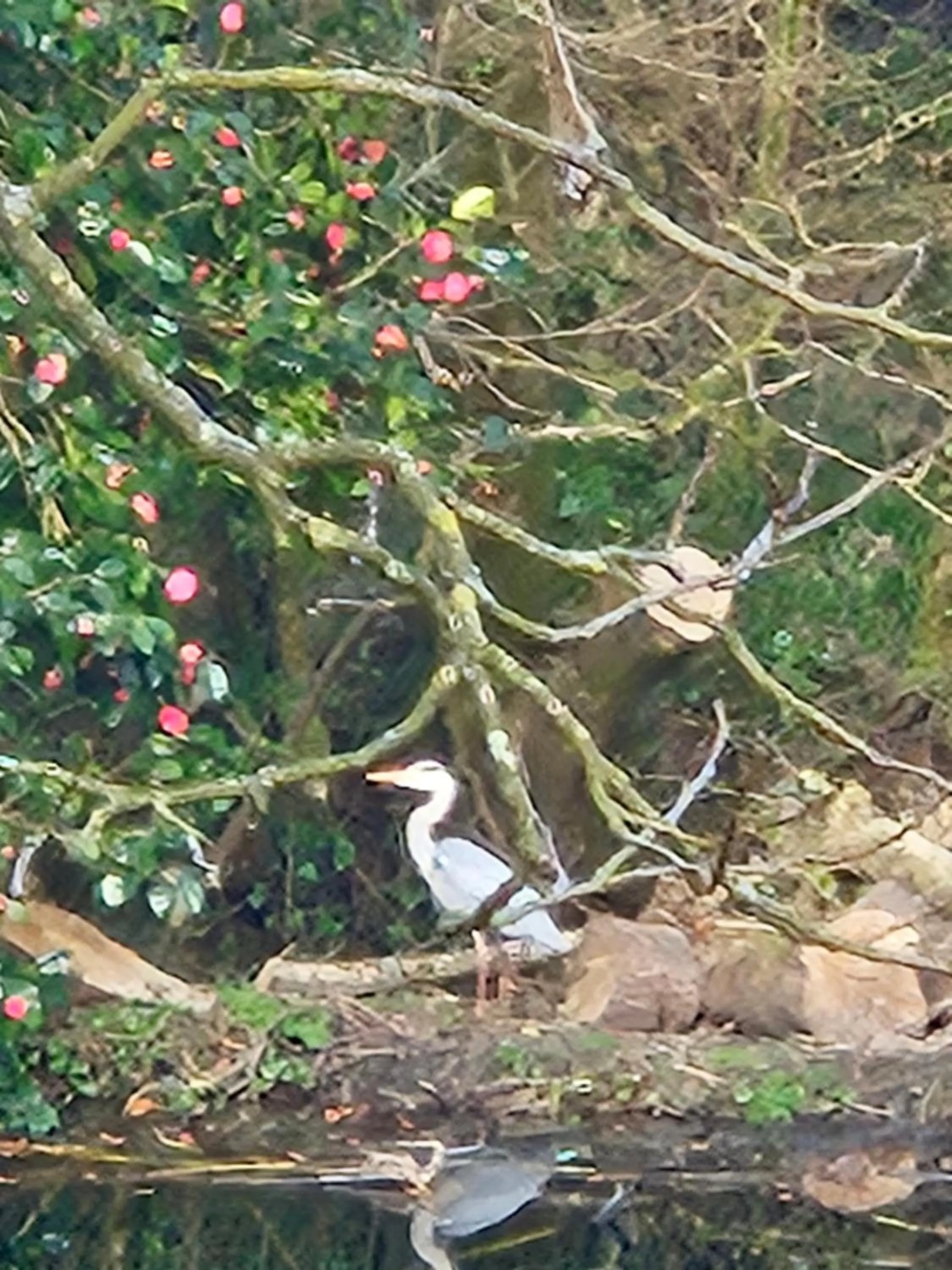 Trengilly Wartha Inn