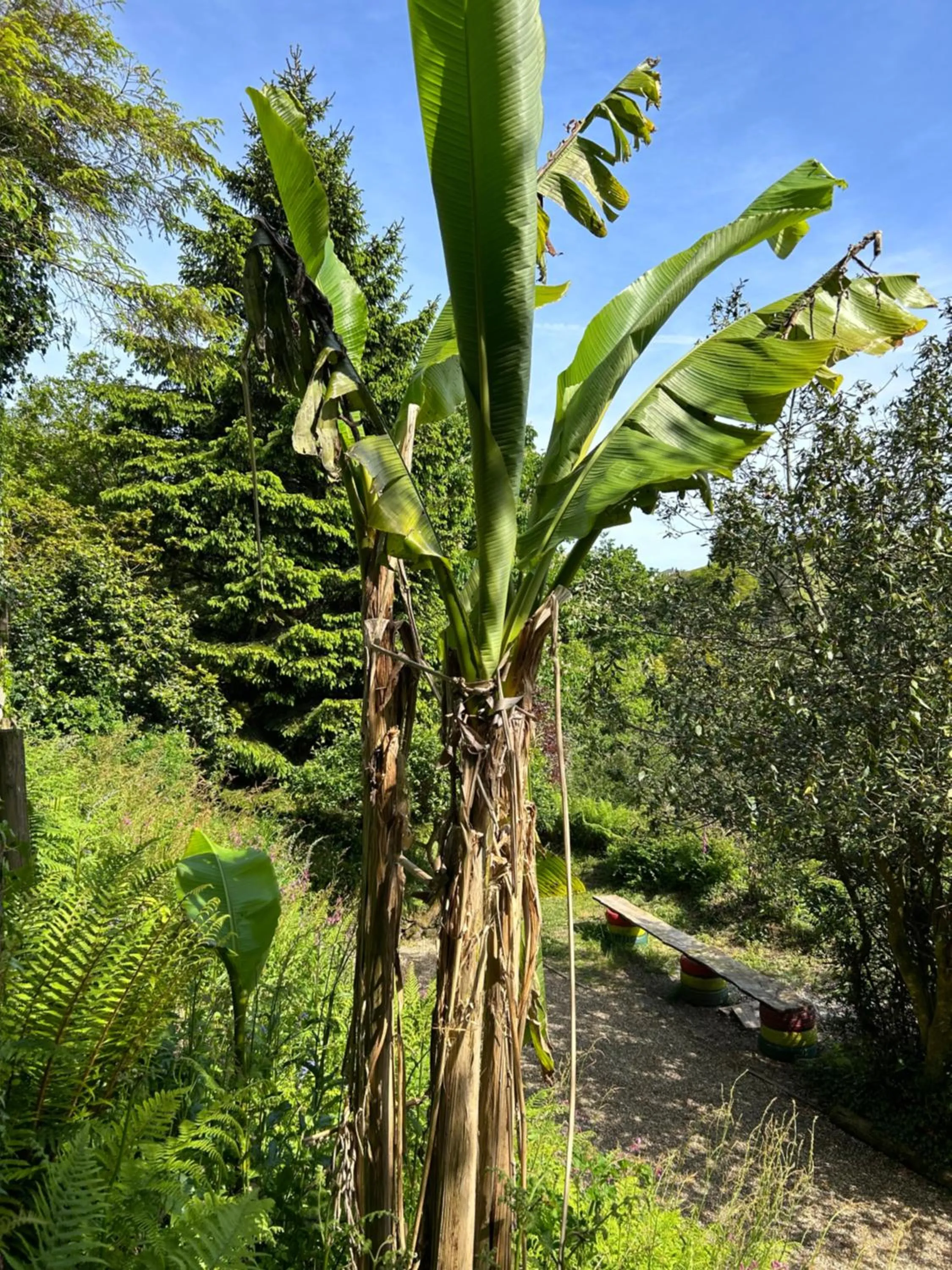 Spring in Trengilly Wartha Inn
