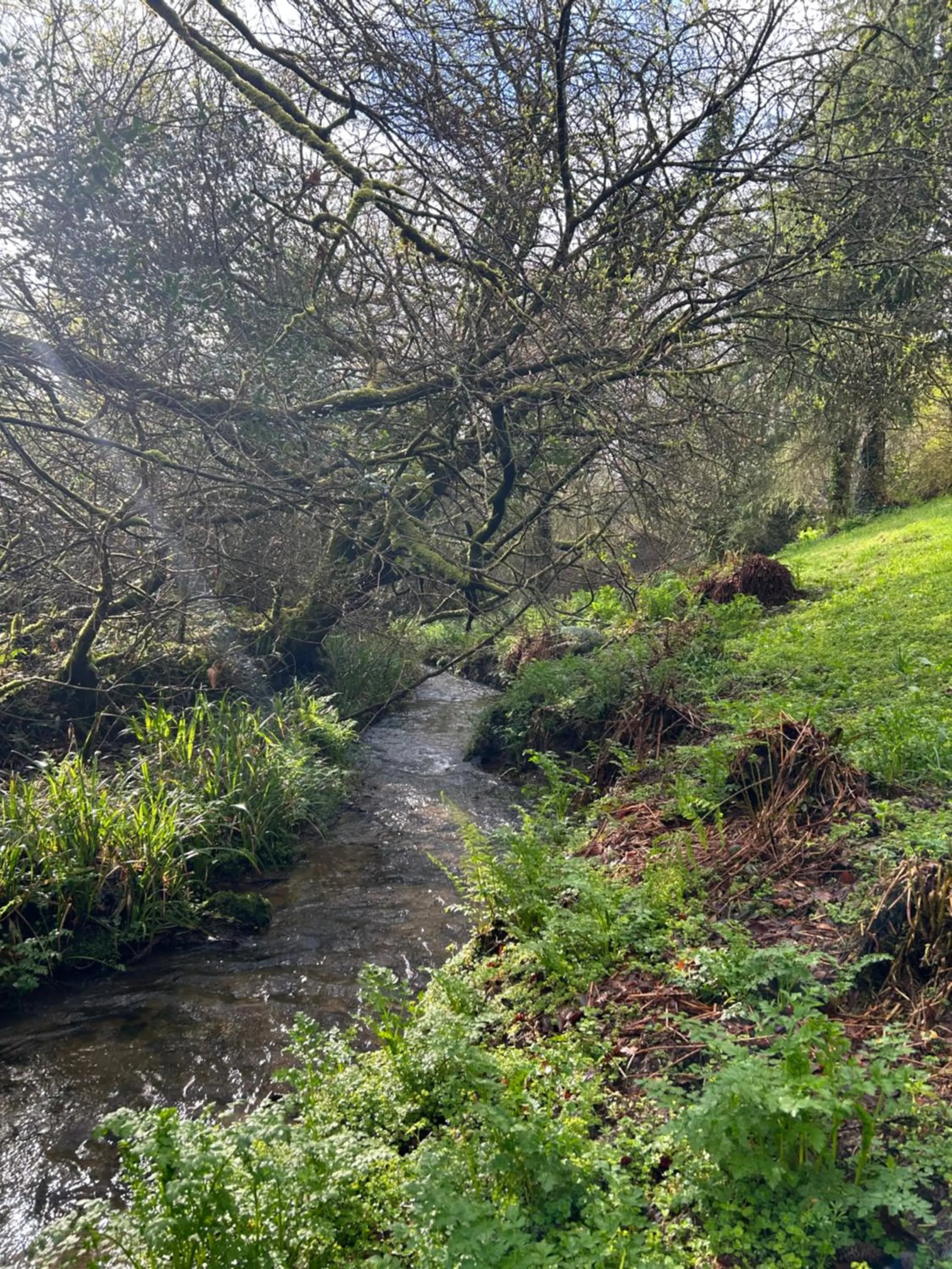 Lake view in Trengilly Wartha Inn