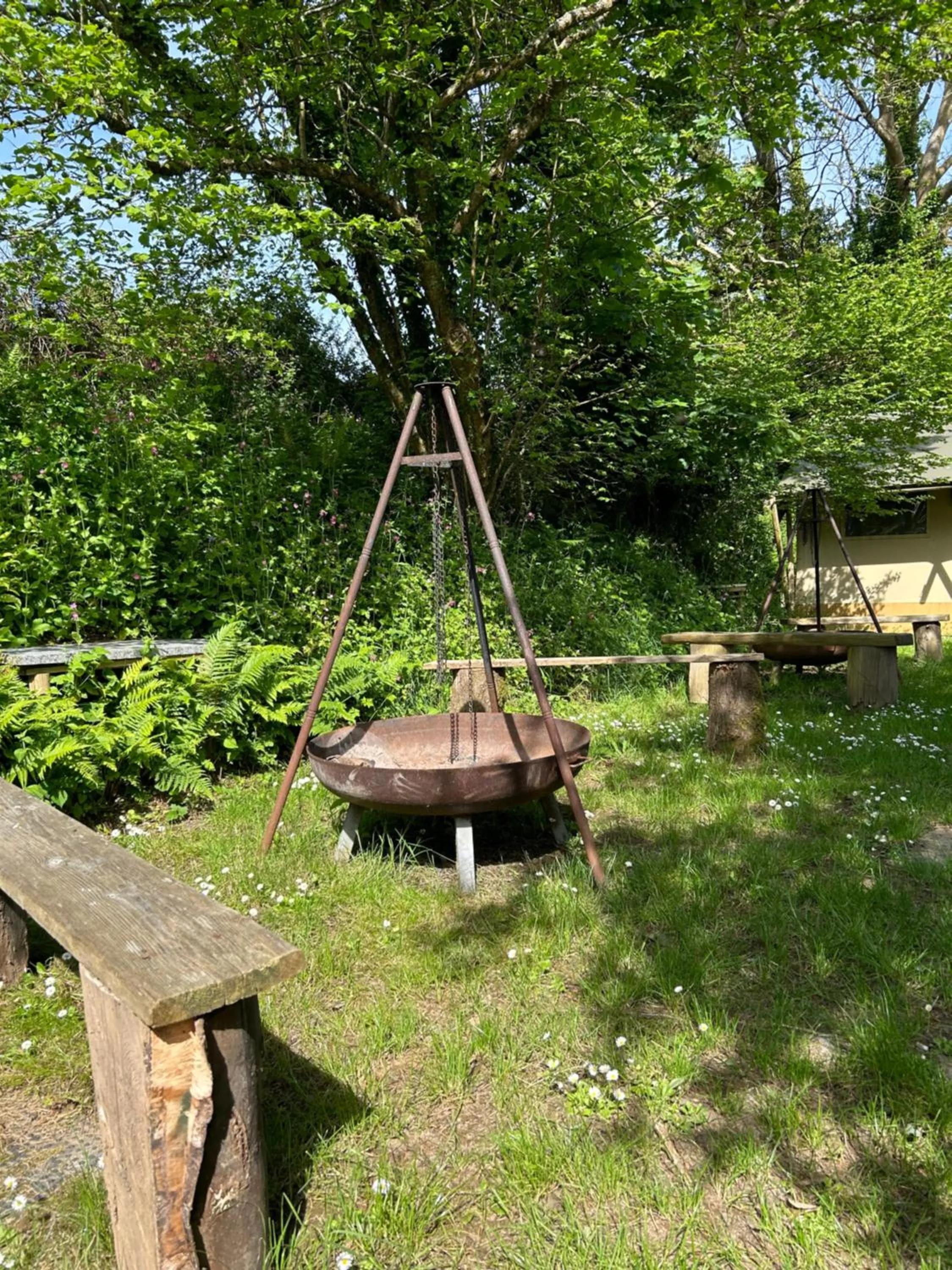 Spring in Trengilly Wartha Inn