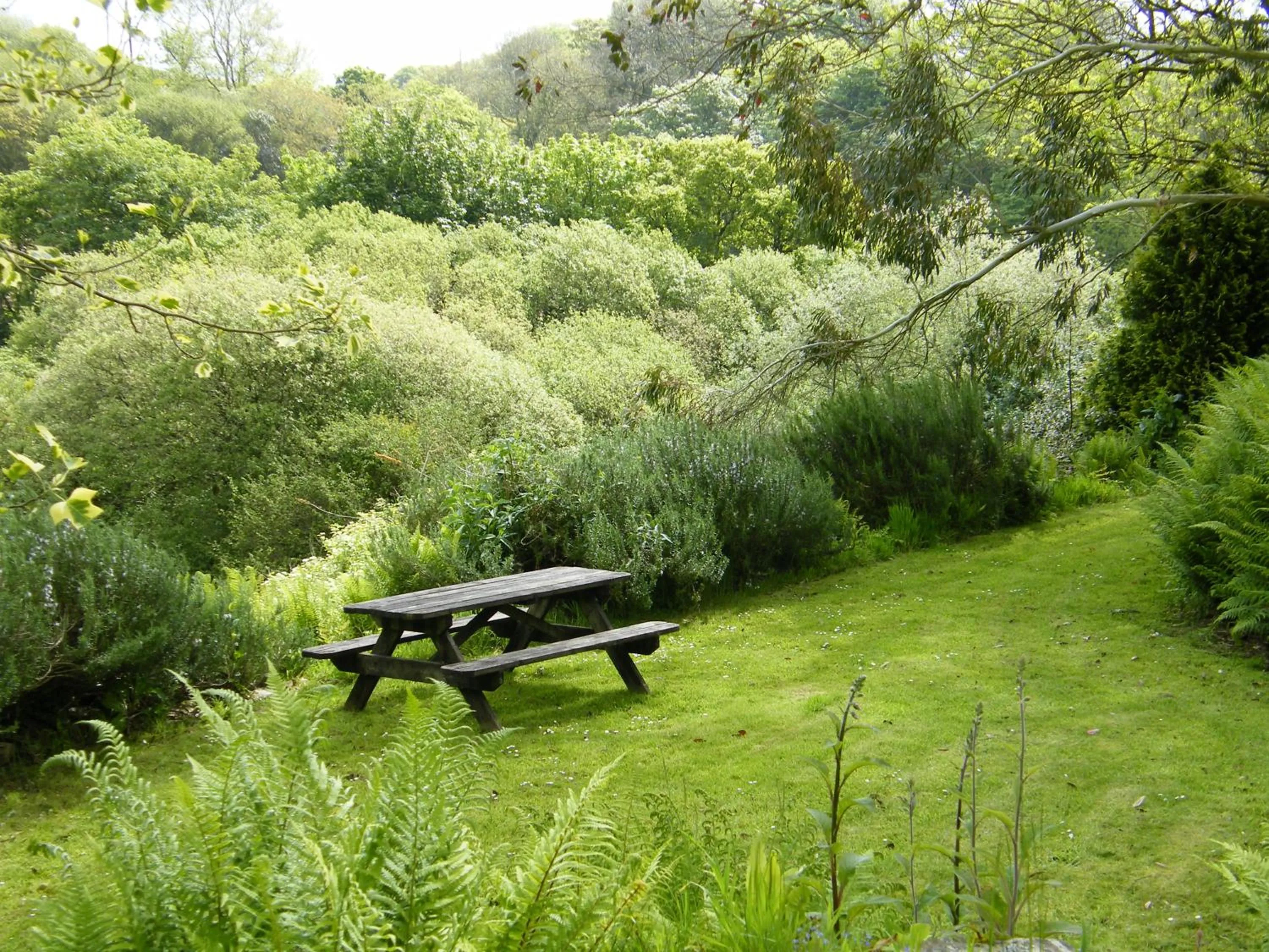 Natural landscape in Trengilly Wartha Inn