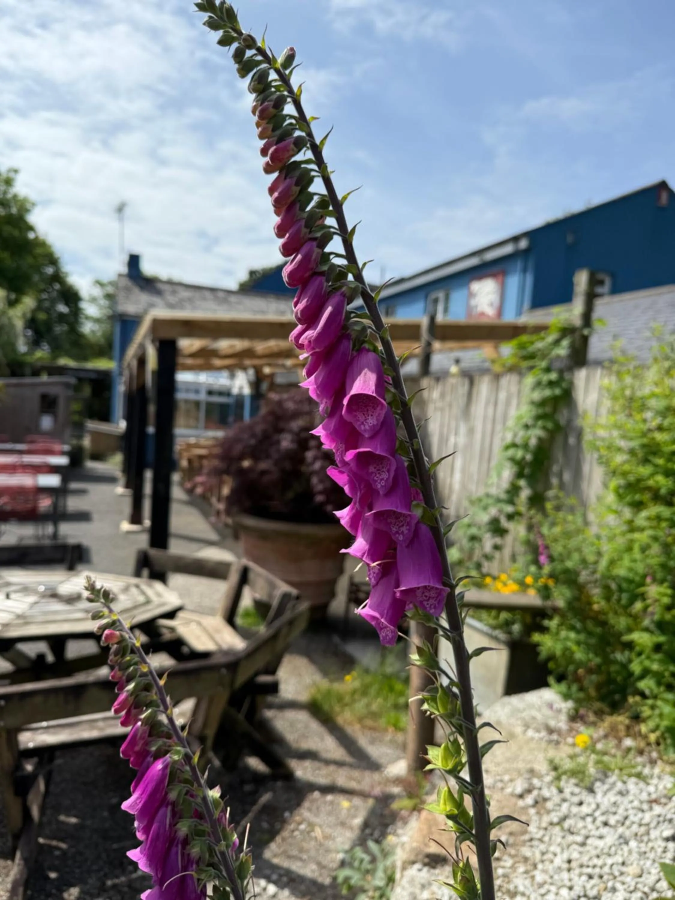 Trengilly Wartha Inn