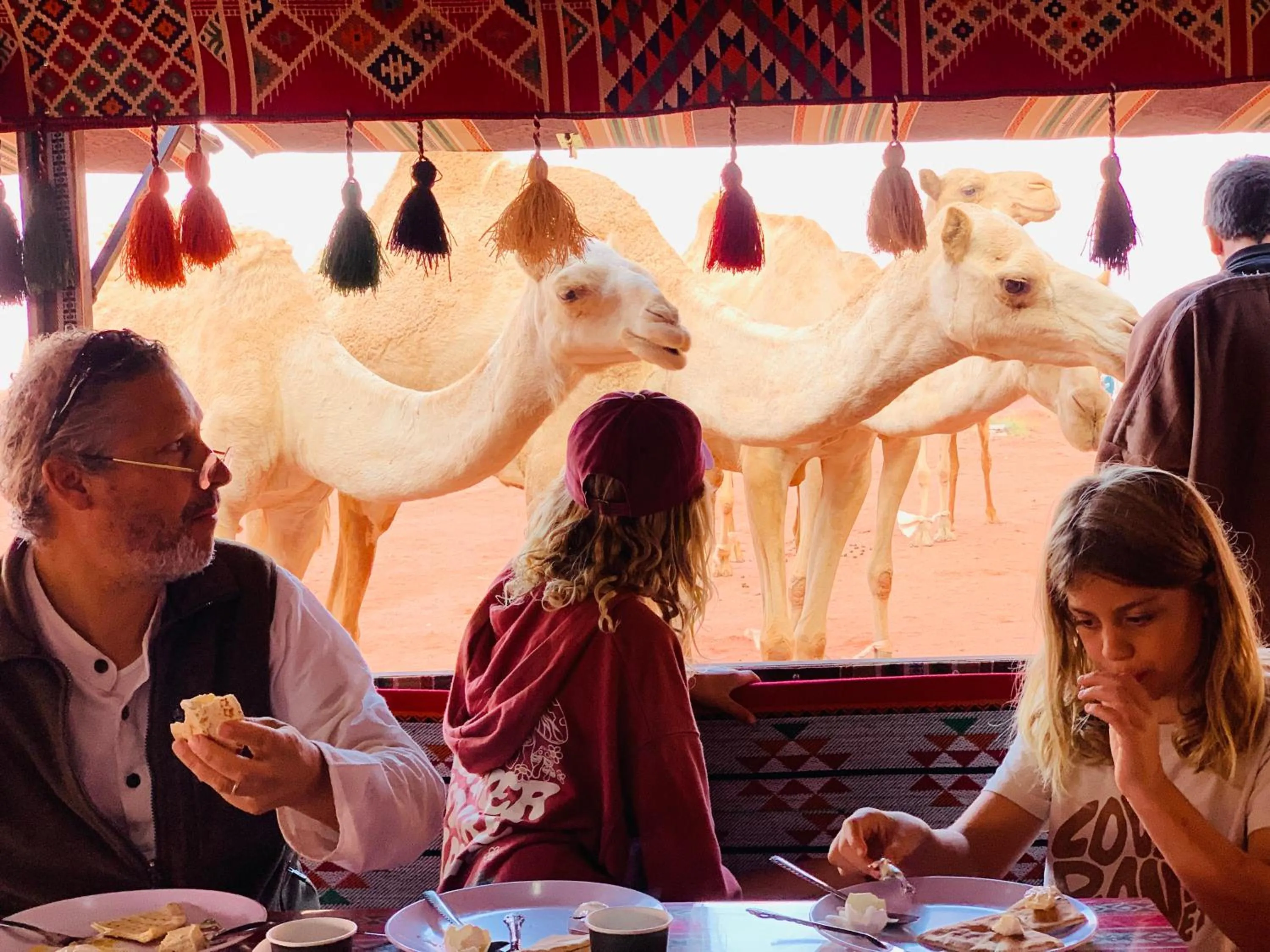 Property building in Wadi Rum Desert Dreams