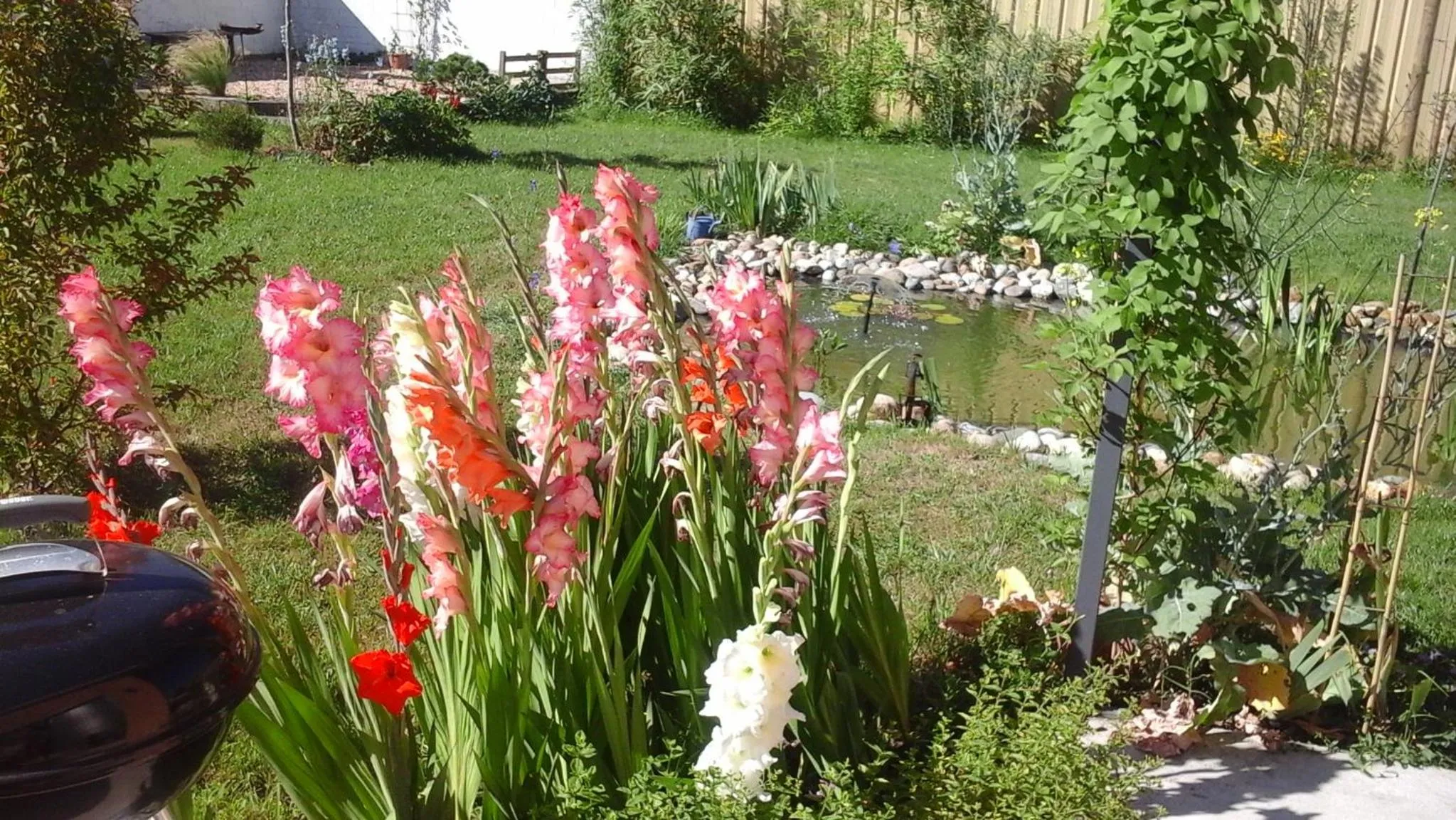 Garden in L atelier