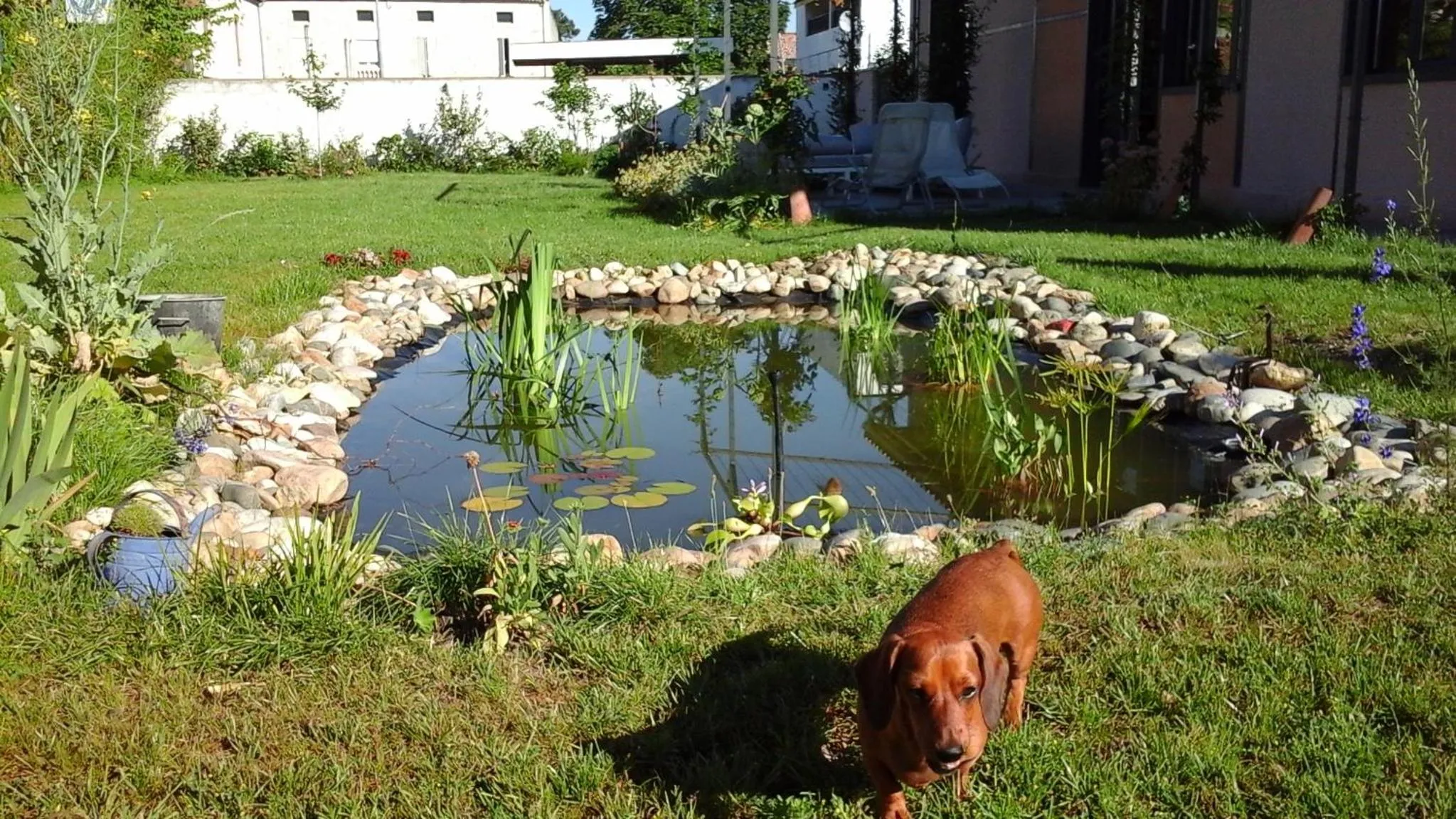 Garden in L atelier