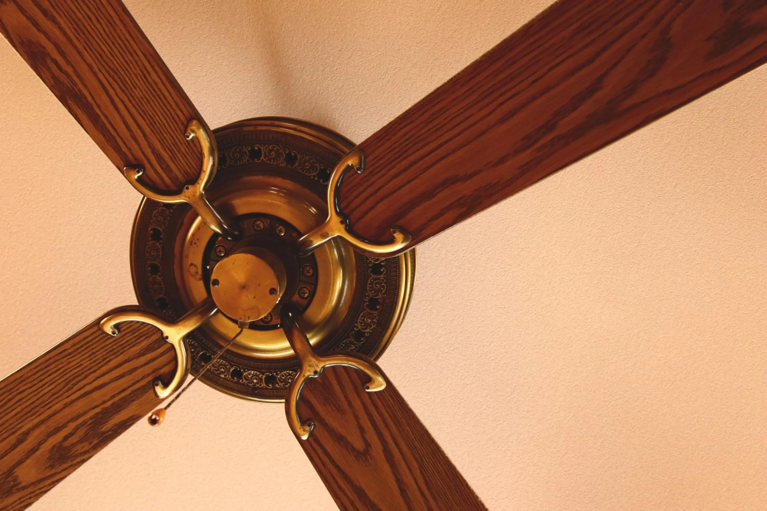 Area and facilities in Hanamizuki