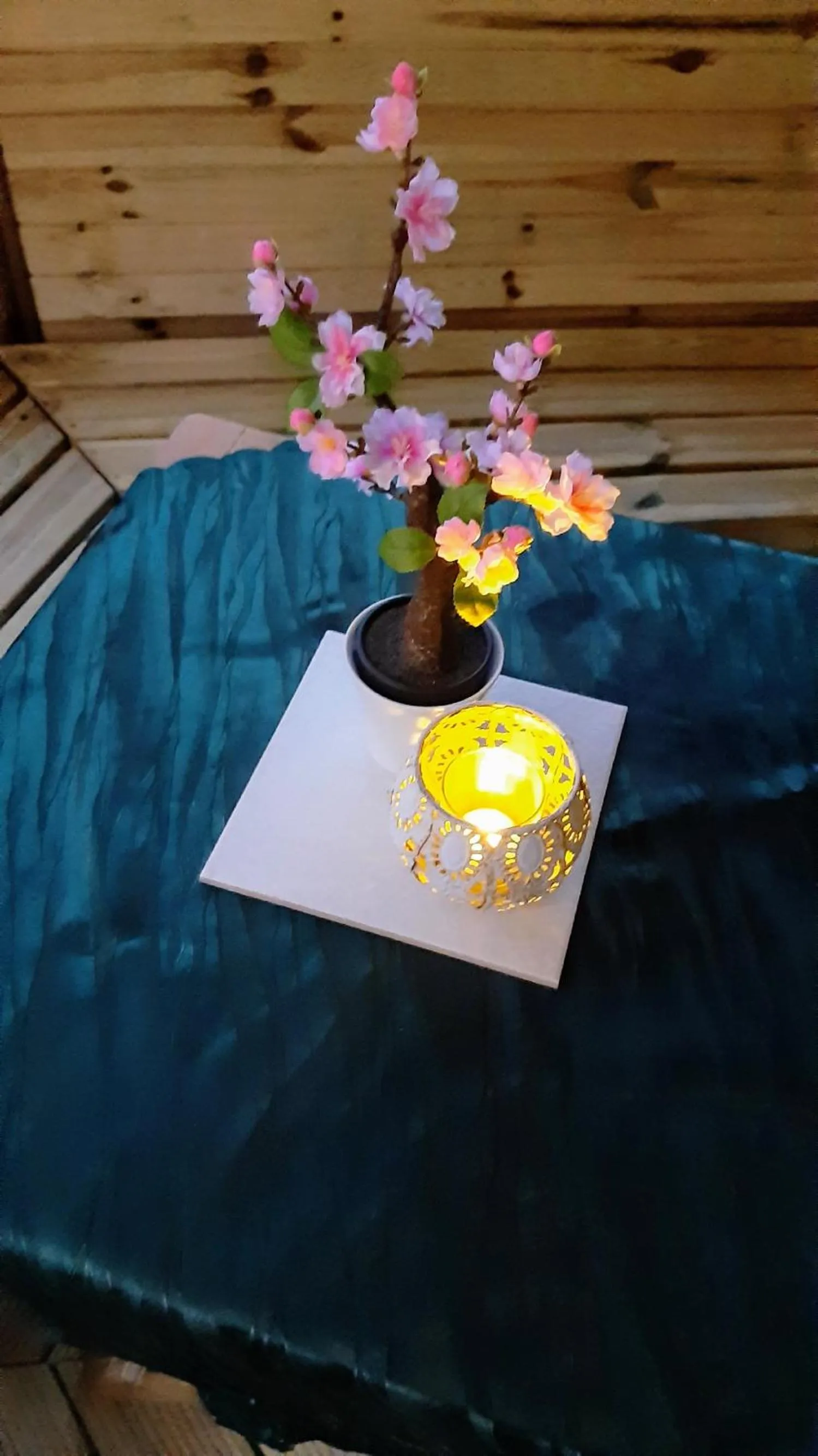 Garden in ApartmentHotel Vollumen