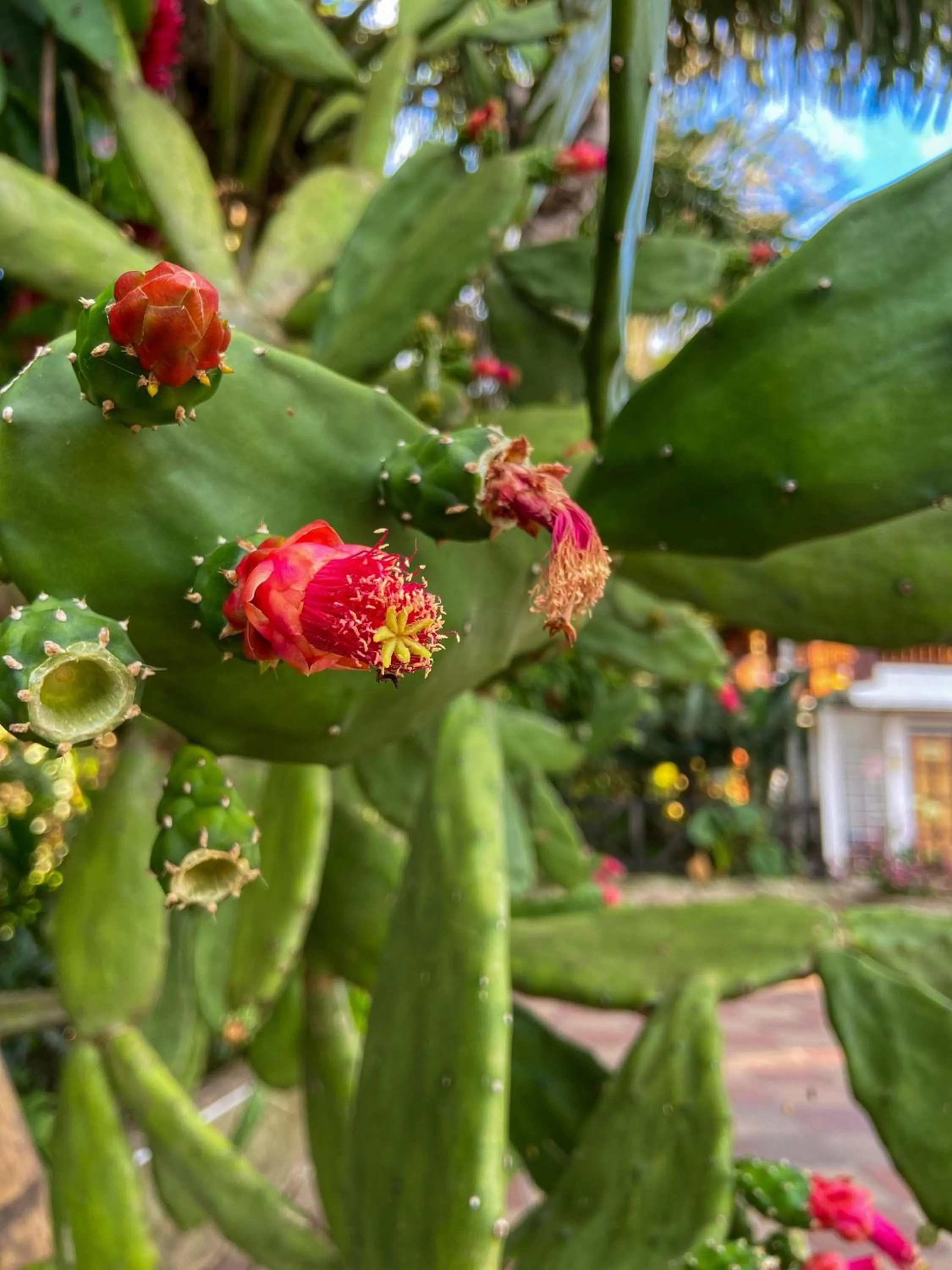 Property building in Eco Hotel las Palmas