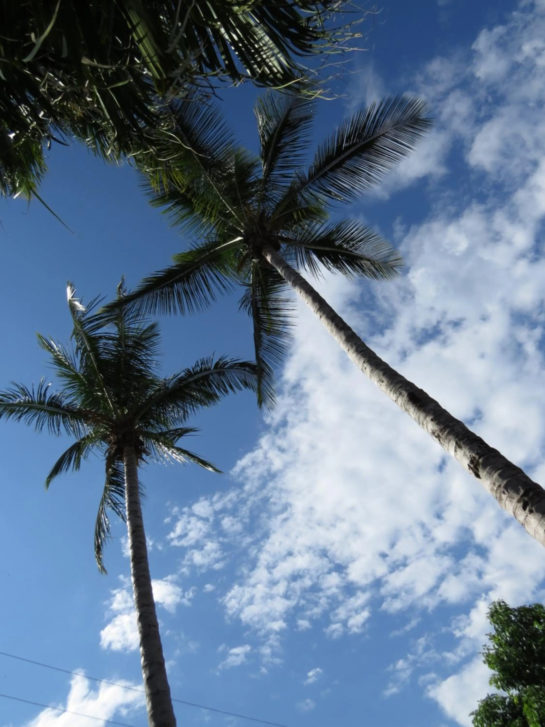 On site in Eco Hotel las Palmas