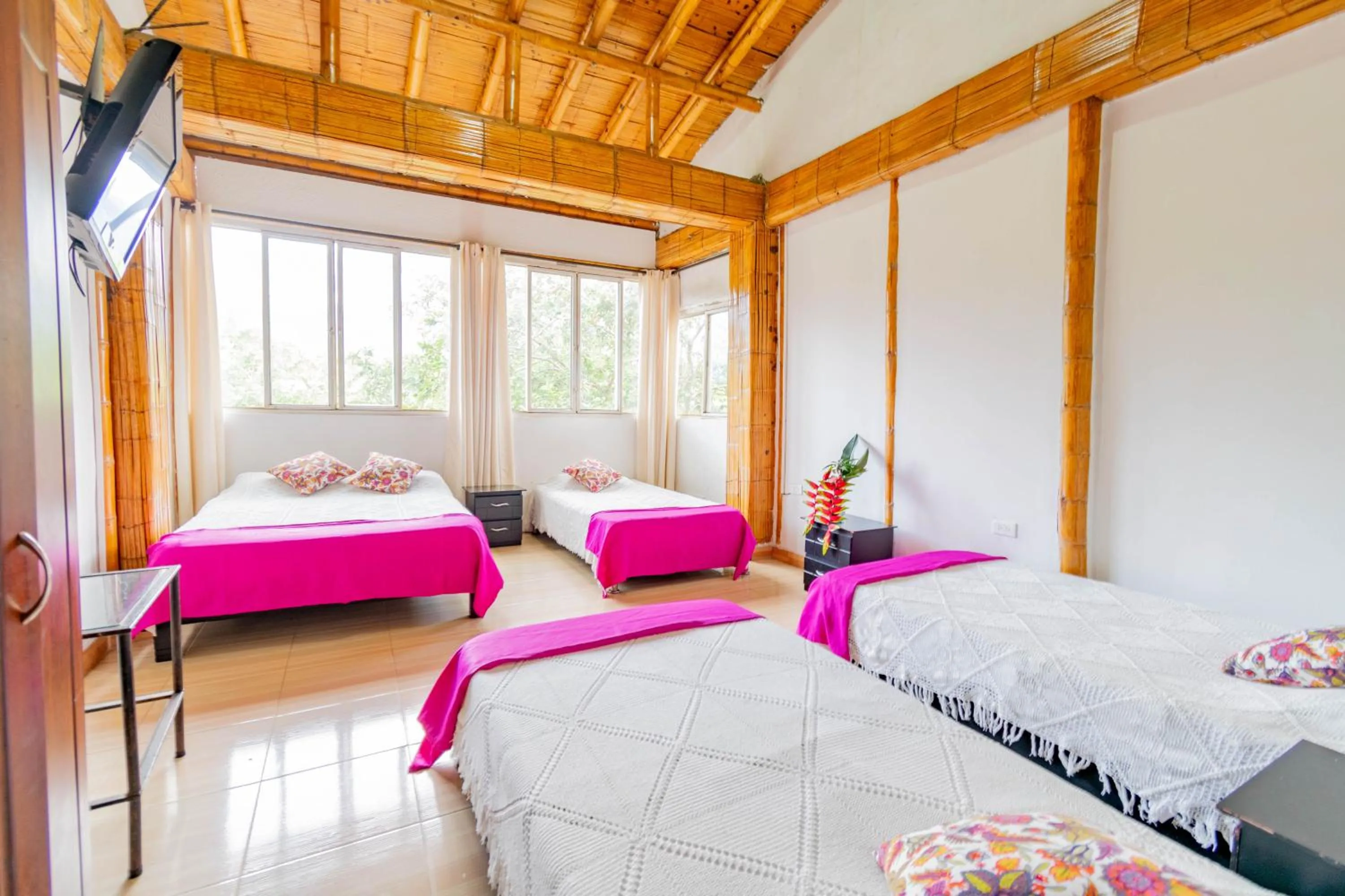 Photo of the whole room, Bed in Eco Hotel las Palmas