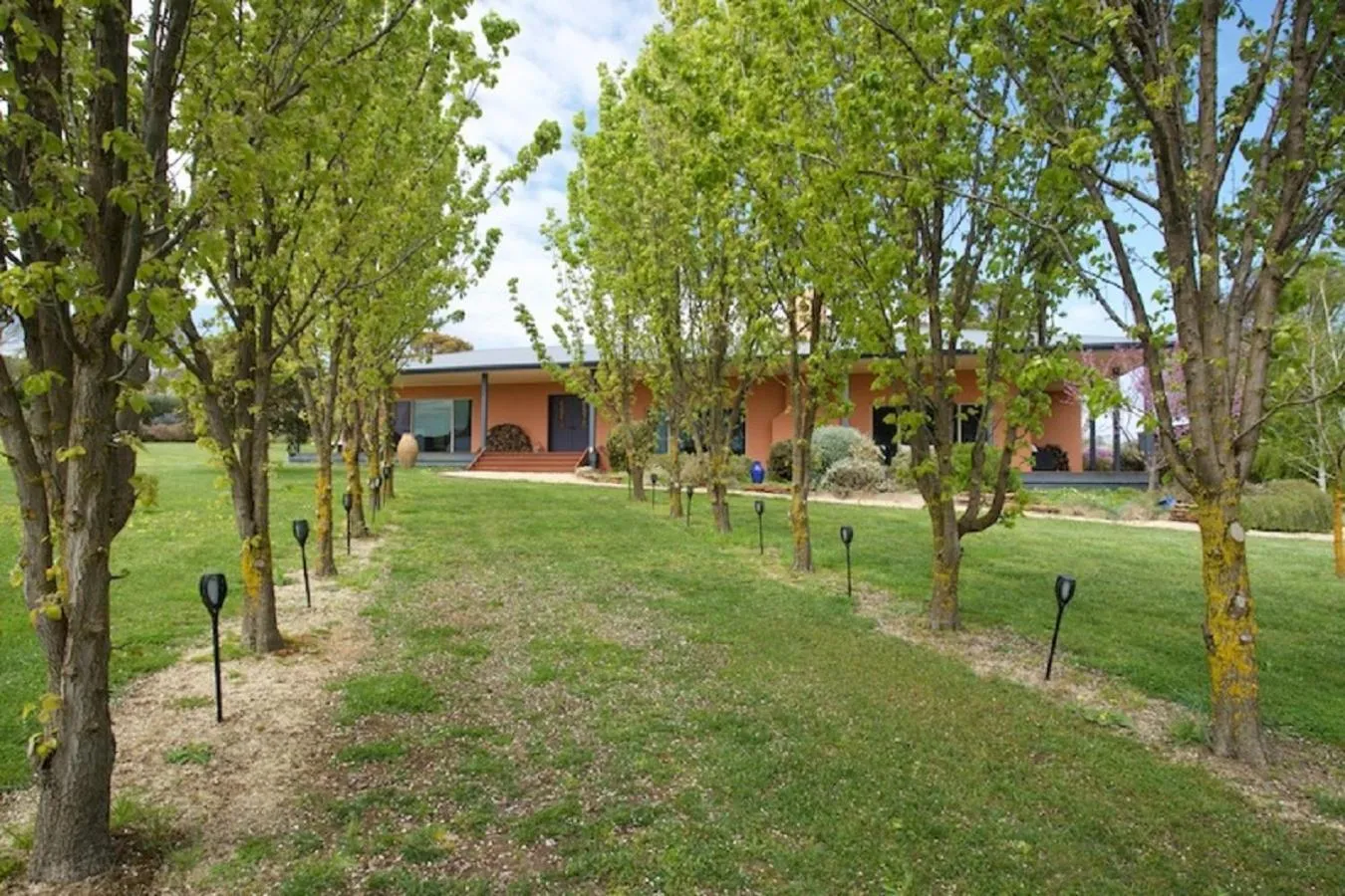 Other in Altitude221