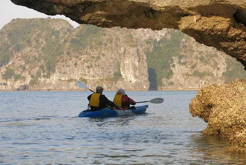 Property building in Cat Ba White Pearl