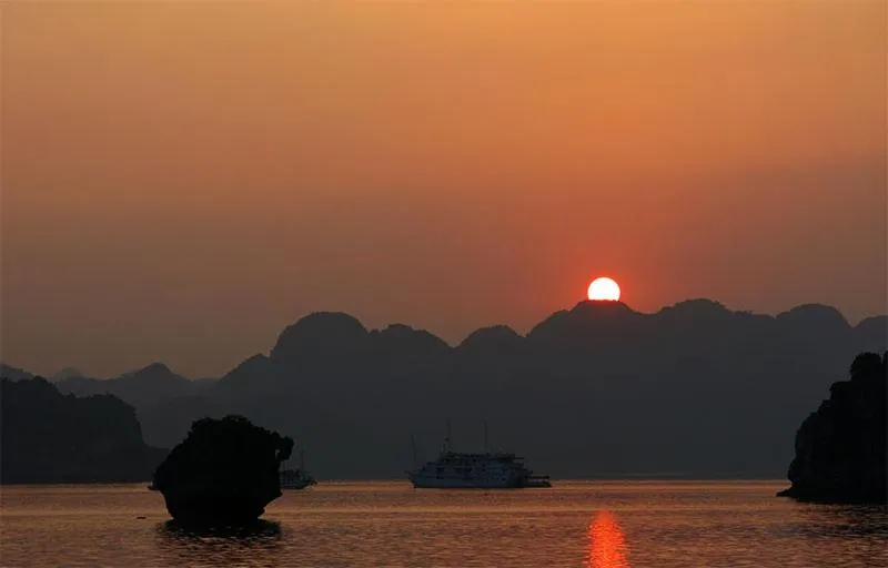 Property building in Cat Ba White Pearl