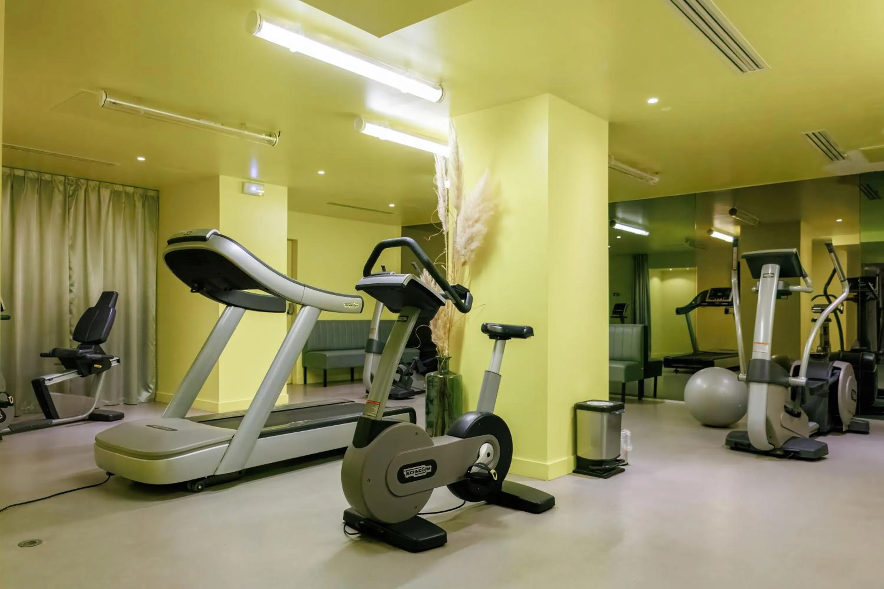 Fitness centre/facilities in Mercure Rouen Centre Cathédrale