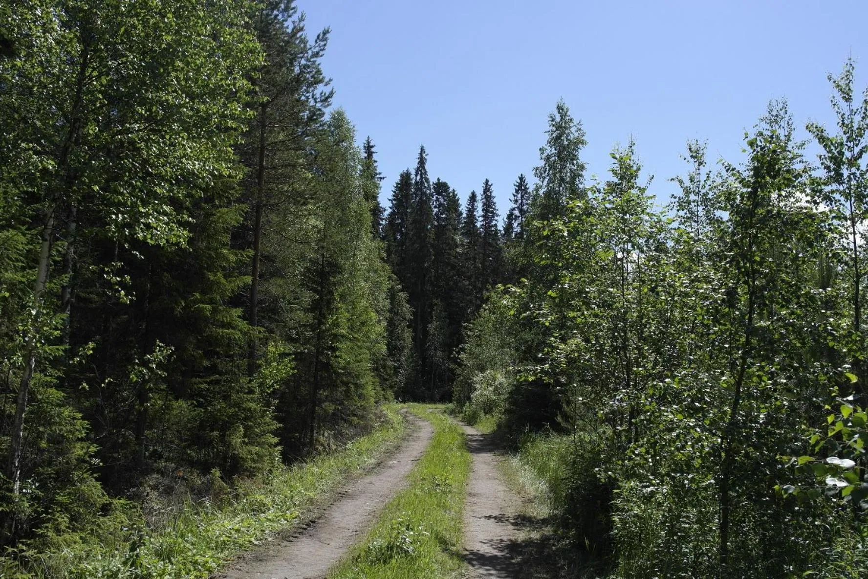 Natural landscape in Koto Hotel Pihtipudas