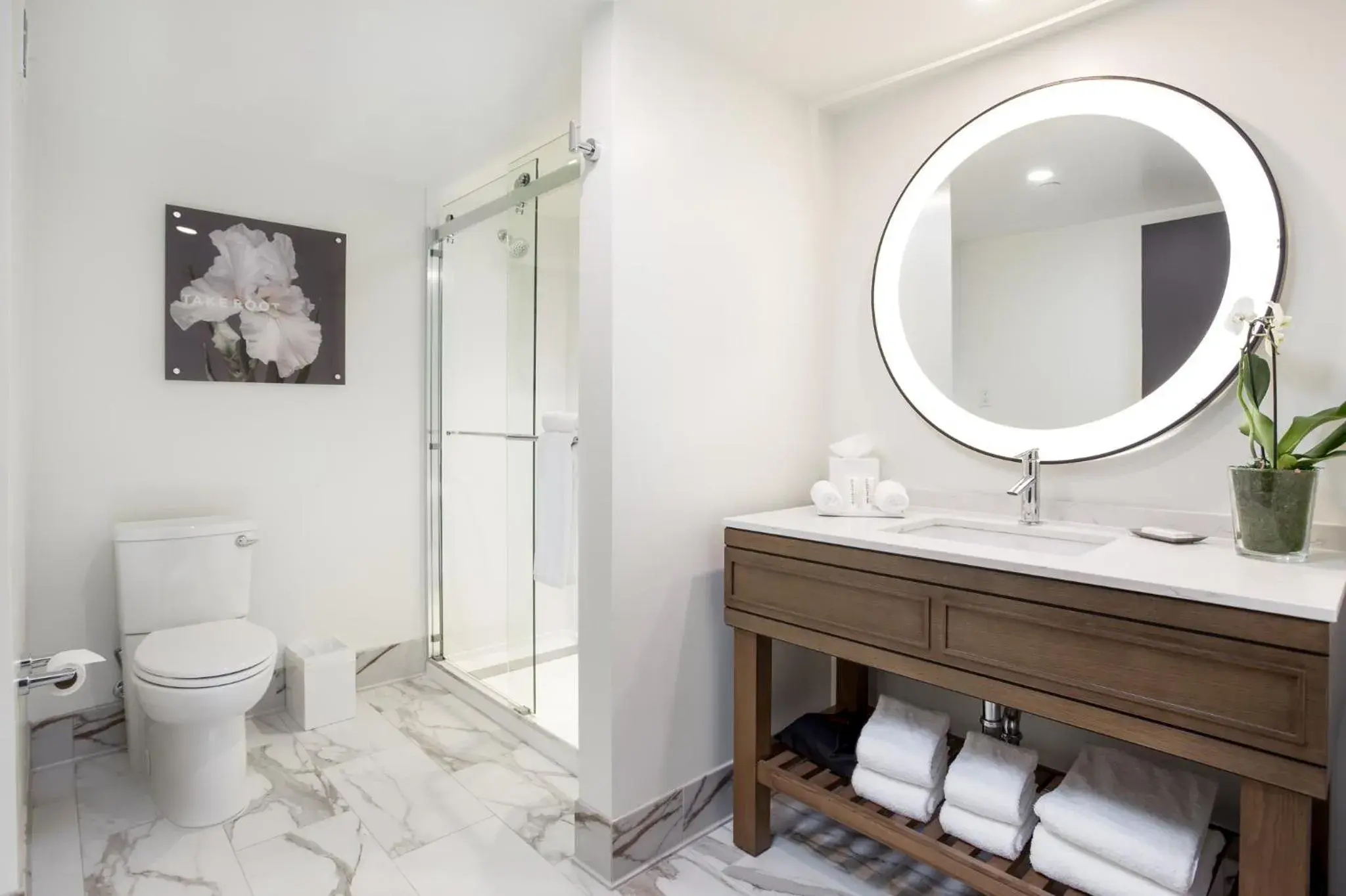 Hotel Queen in ARC HOTEL Washington DC, Georgetown Hotel Queen in ARC HOTEL Washington DC, Georgetown