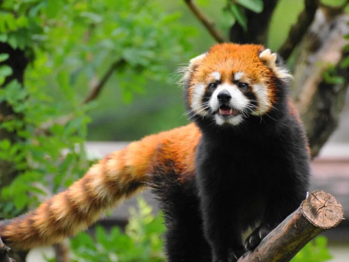 Nearby landmark in Astil Hotel Juso Precious