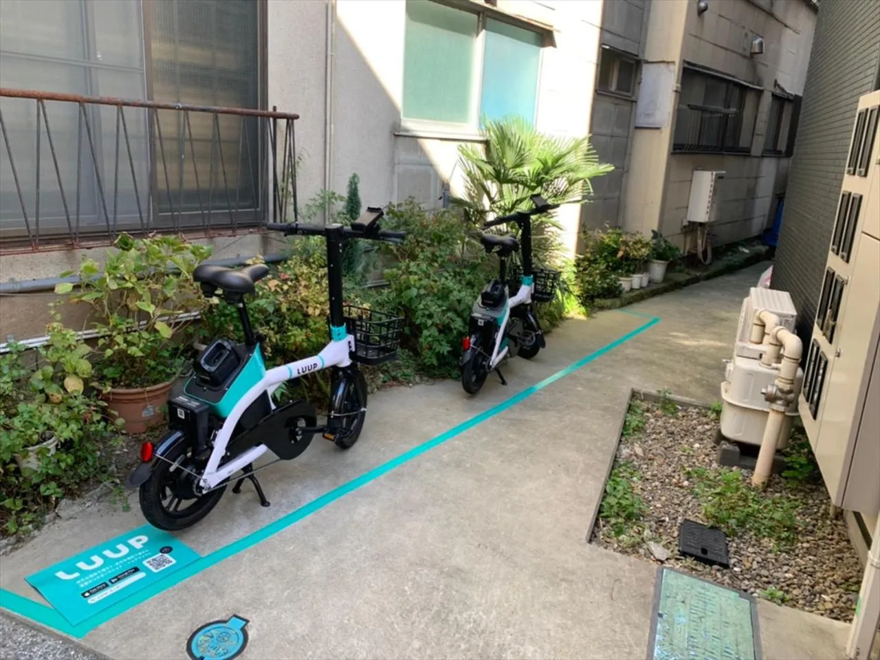 Cycling in YADOYA Uguisu