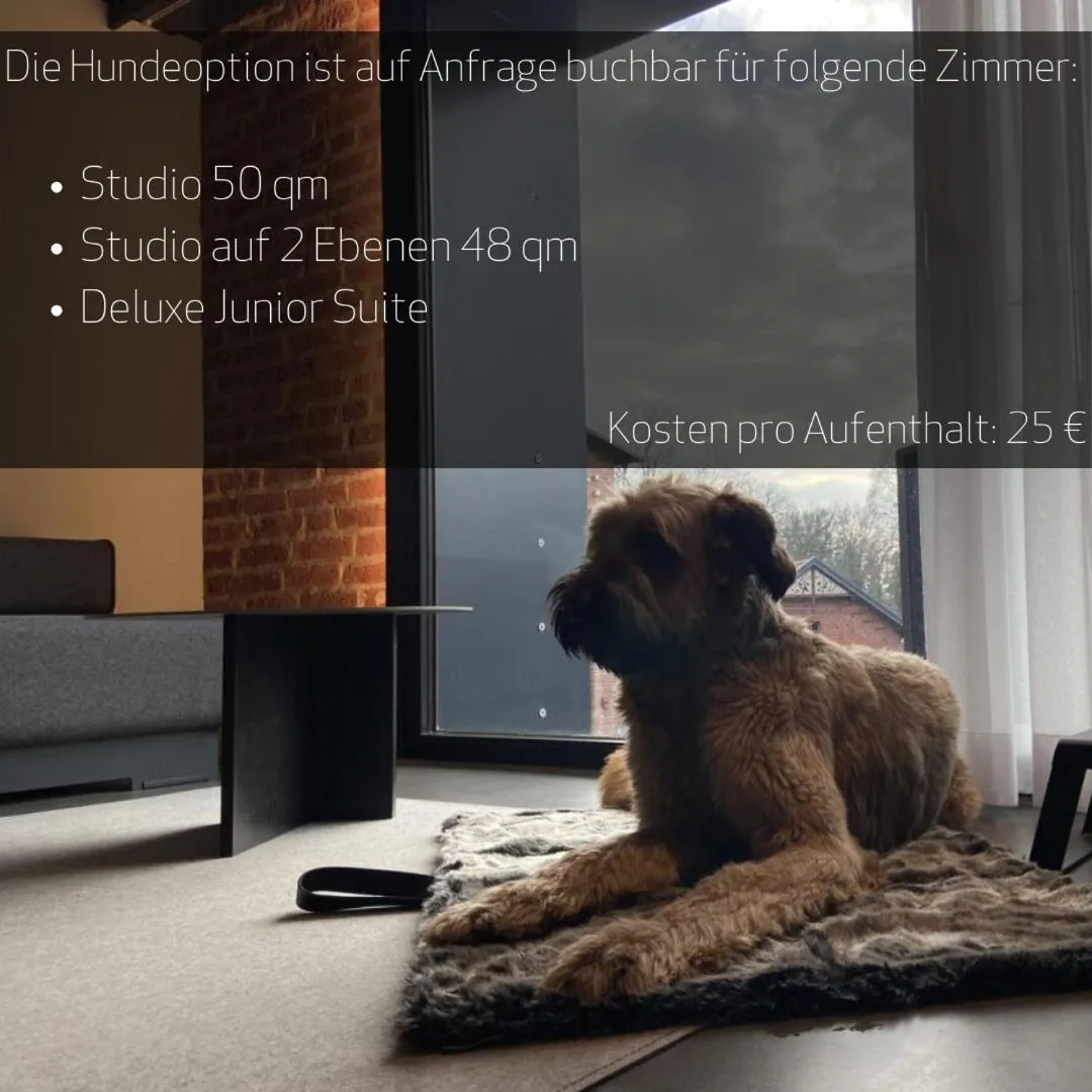 Pets in PÖLTER bei MARKUS T