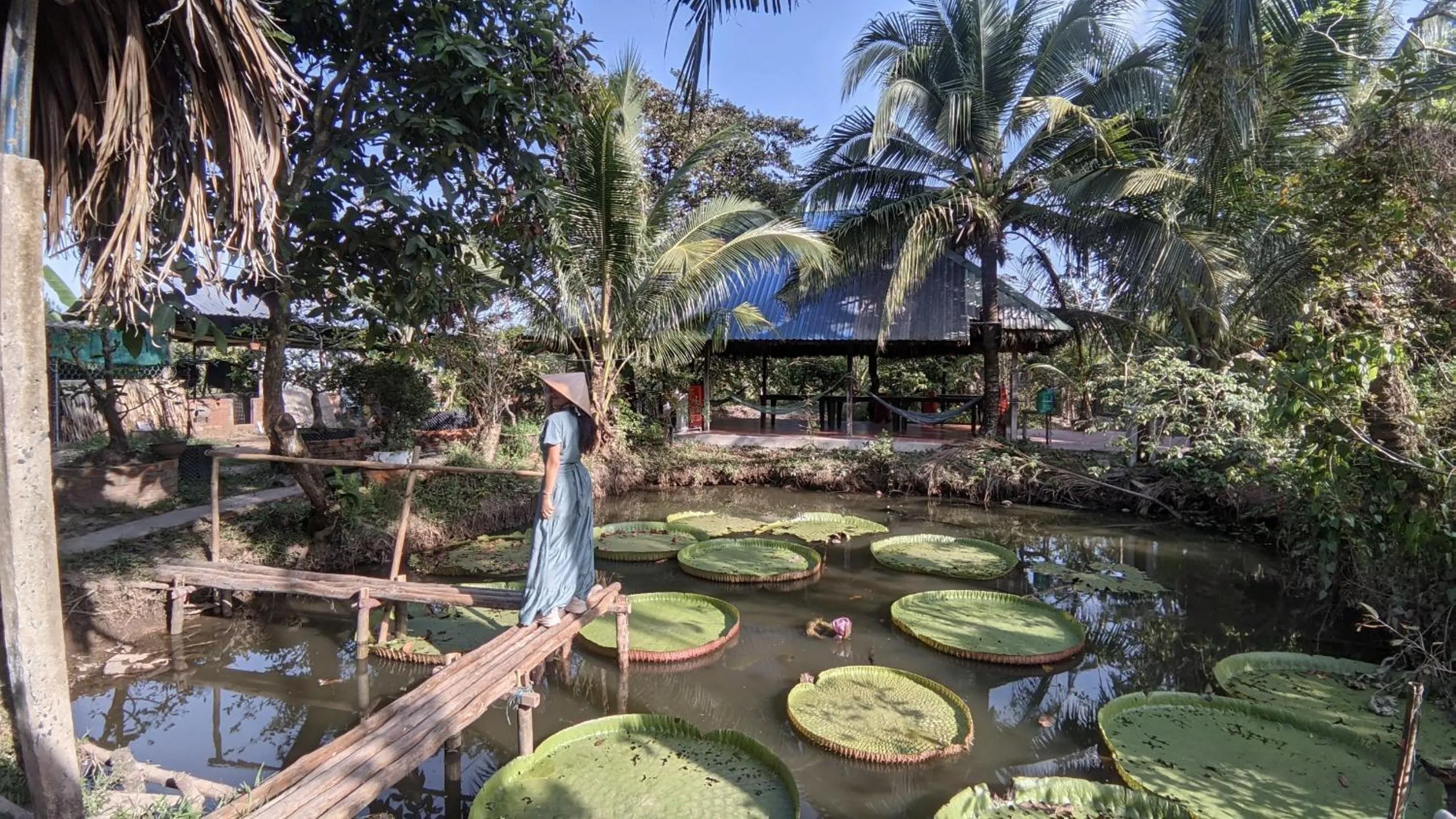 Activities in Adora Central Park Hostel