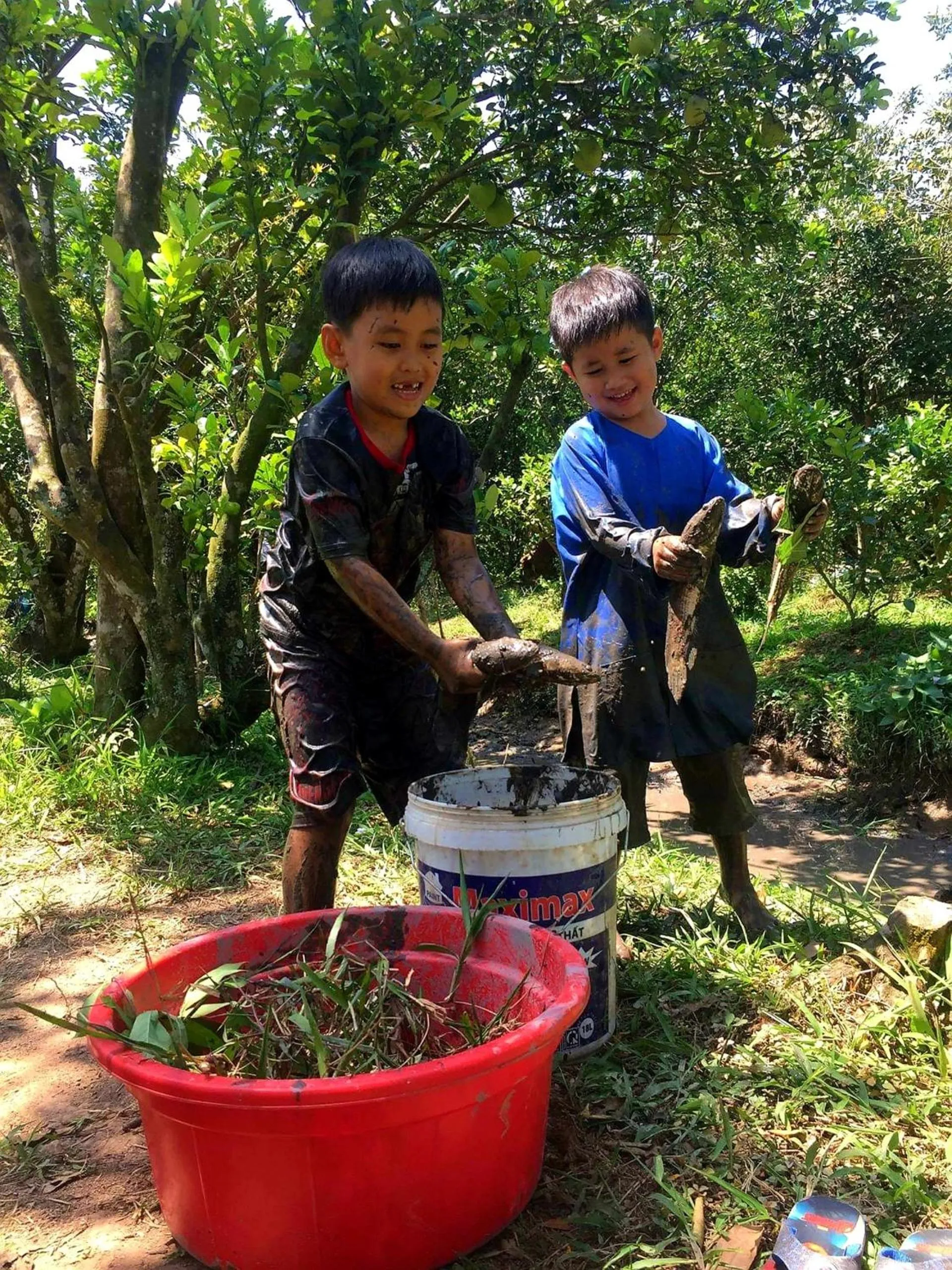 Entertainment in Adora Central Park Hostel