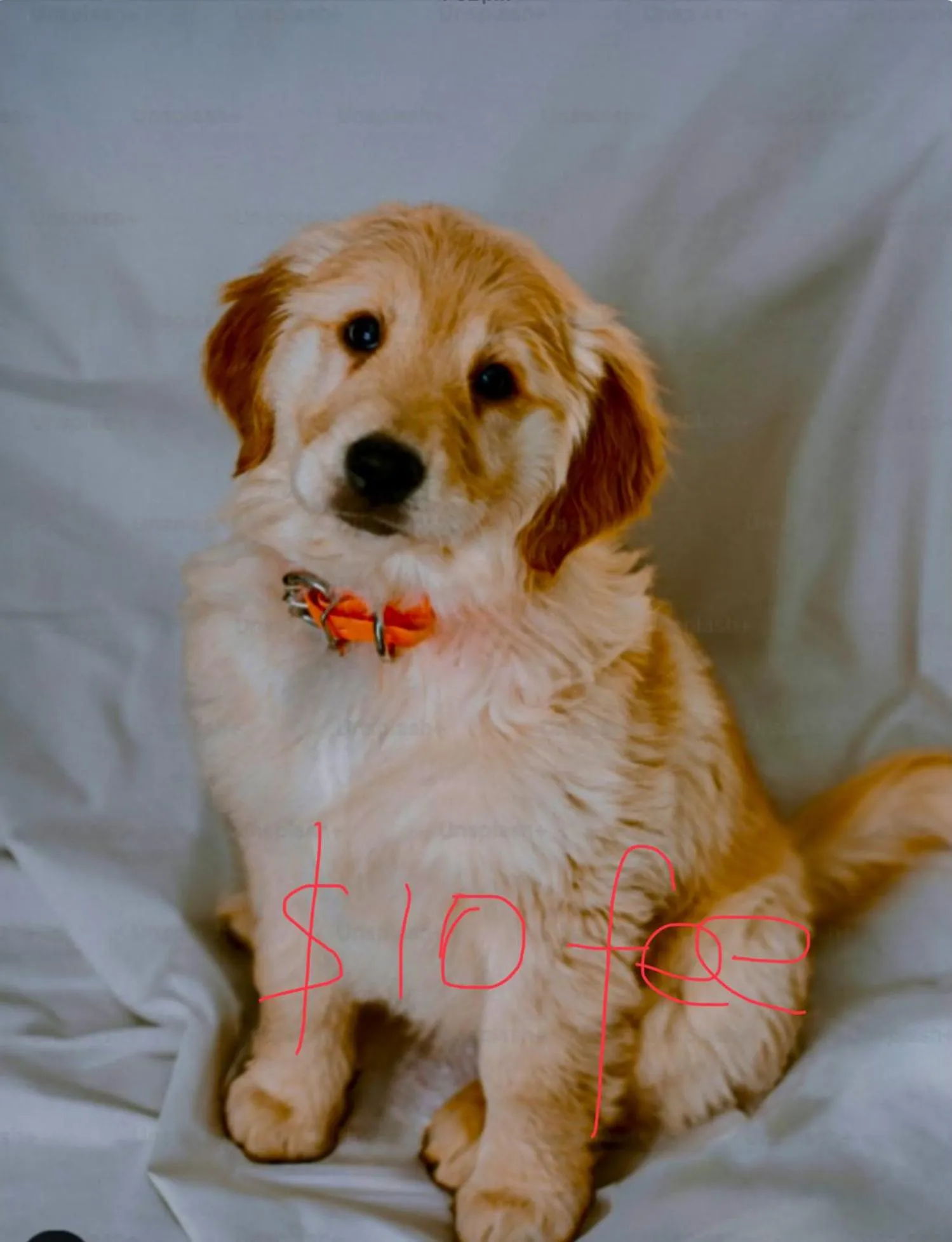 We Love the Bay short stays private suite 1 to 4 days