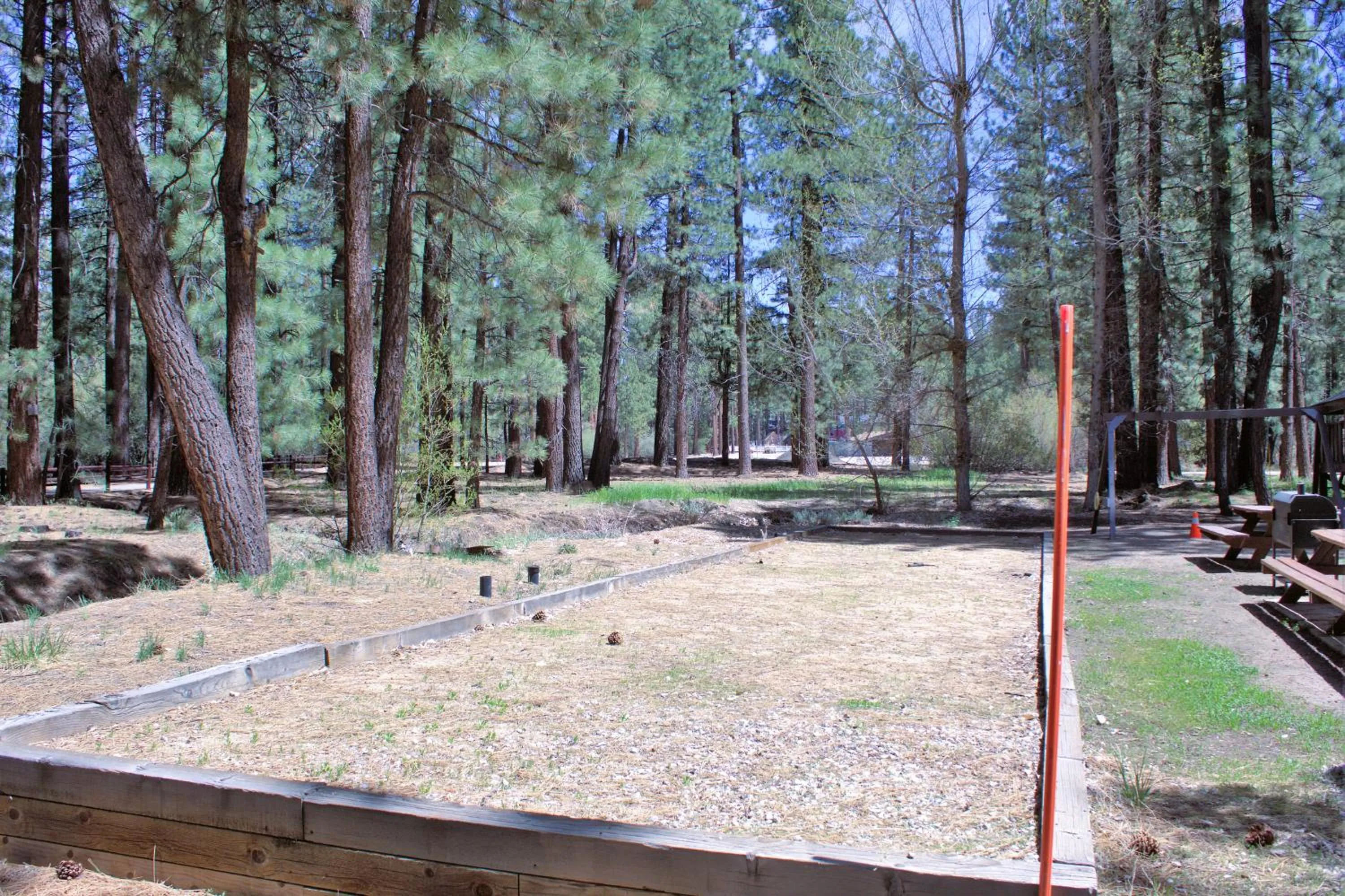 Garden in Goldmine Lodge