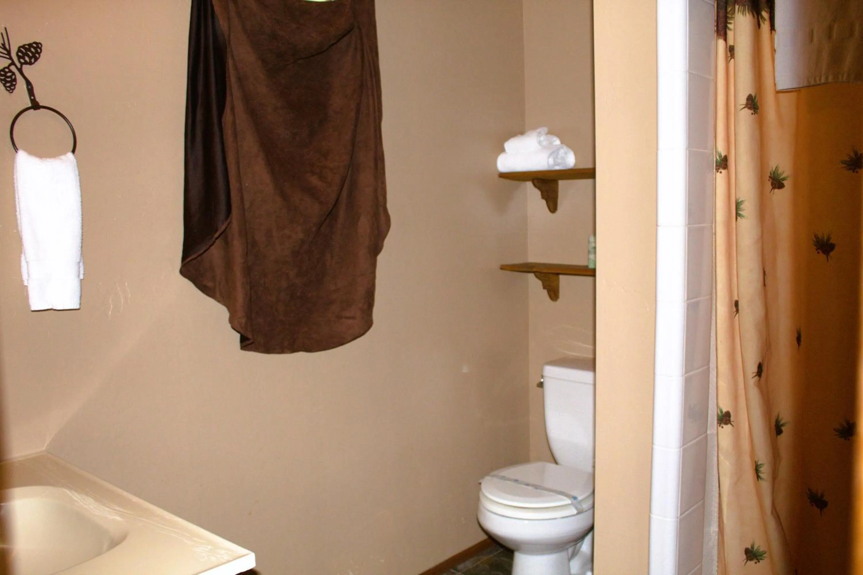 Bathroom in Goldmine Lodge
