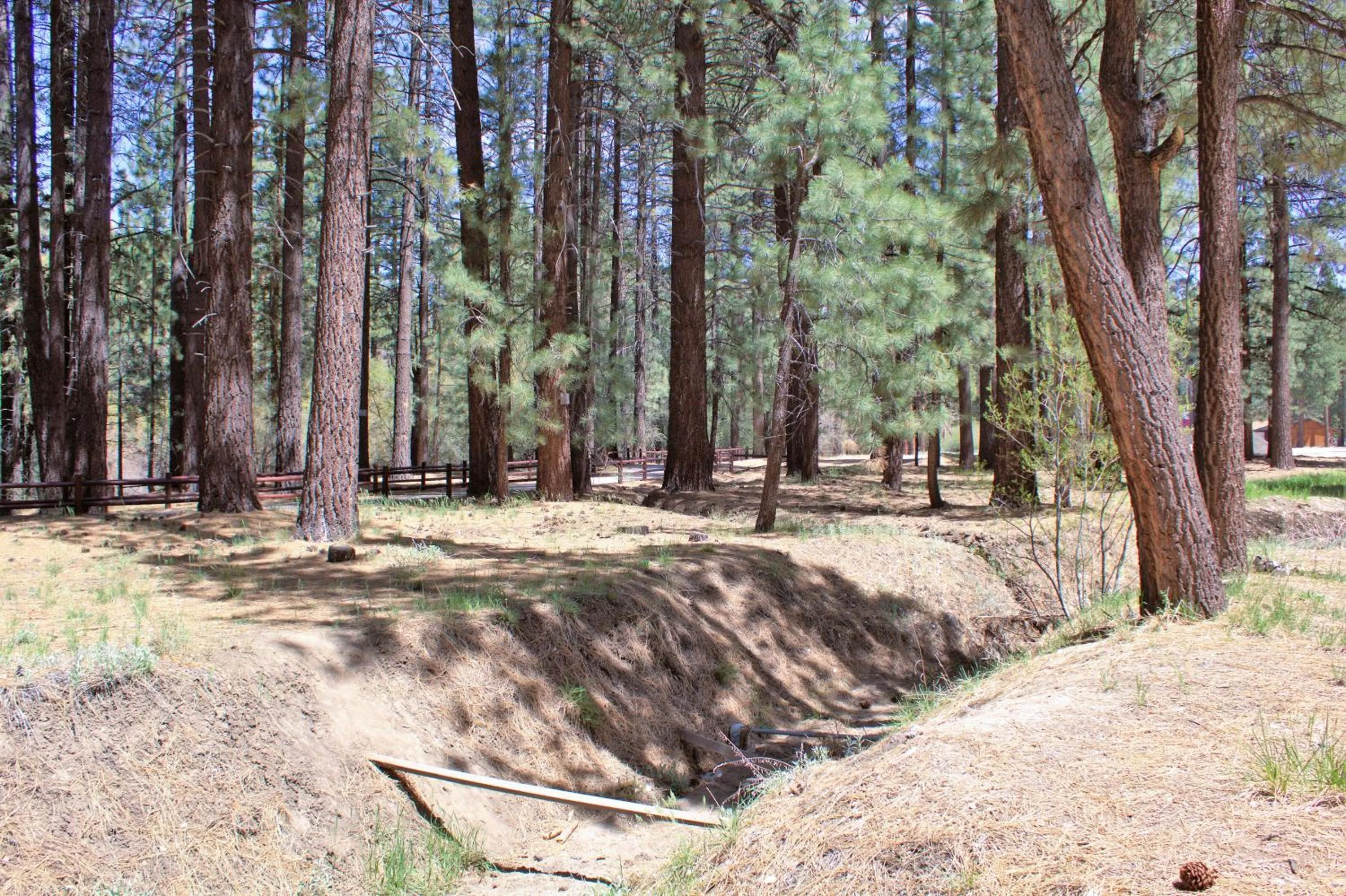 Garden in Goldmine Lodge