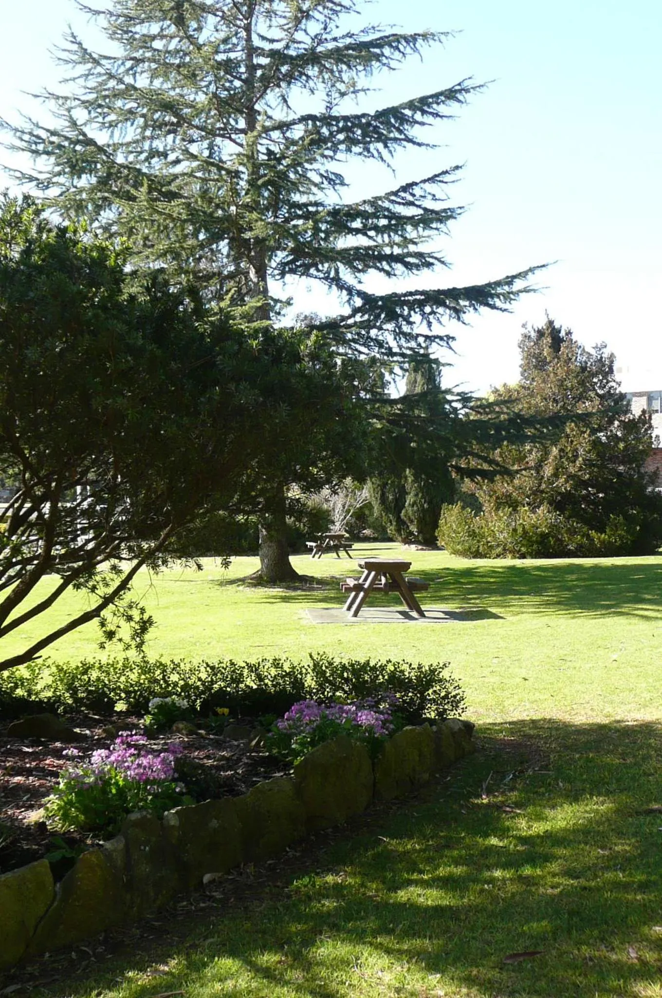 Garden in Springs Mittagong