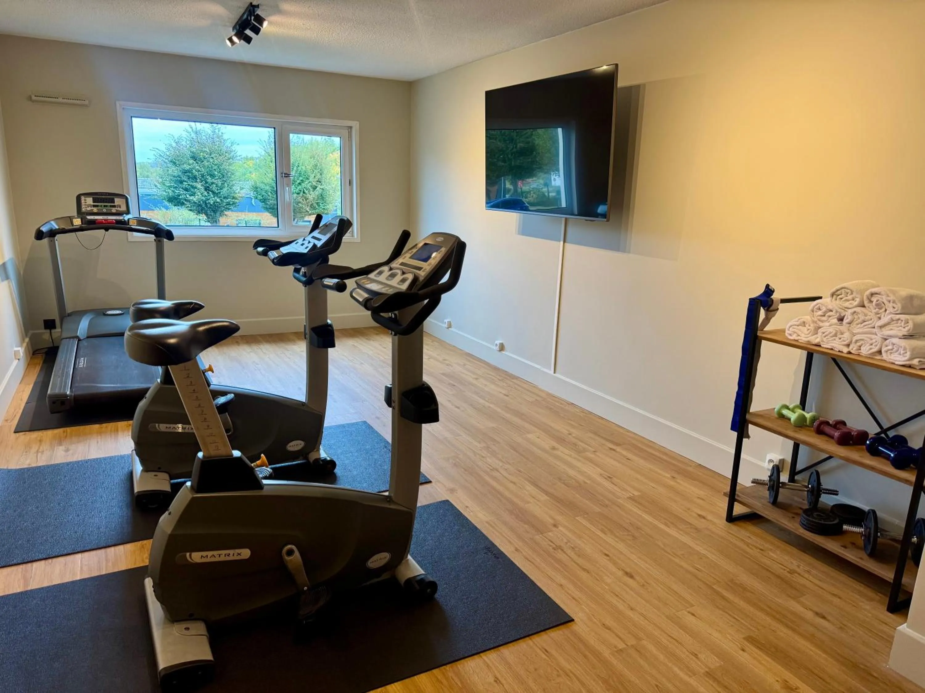 Fitness centre/facilities in Mercure Rouen Val de Reuil